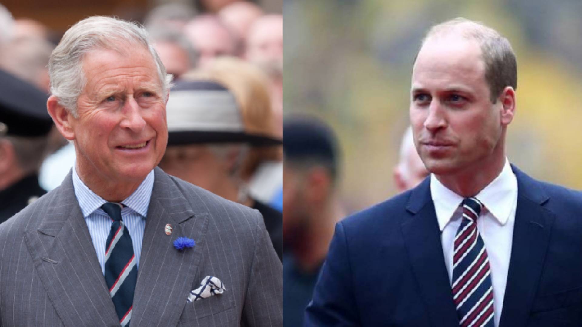 الأميران تشارلز ووليام