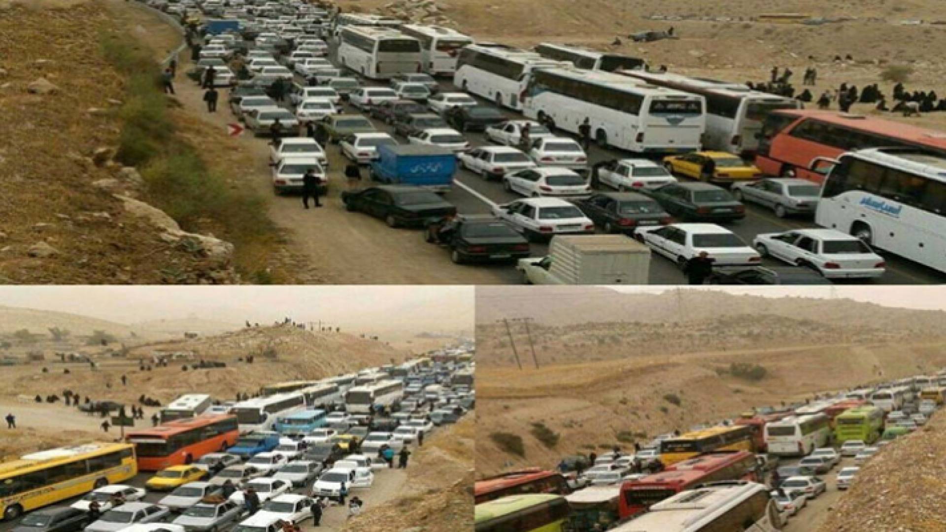 الصور المتداولة