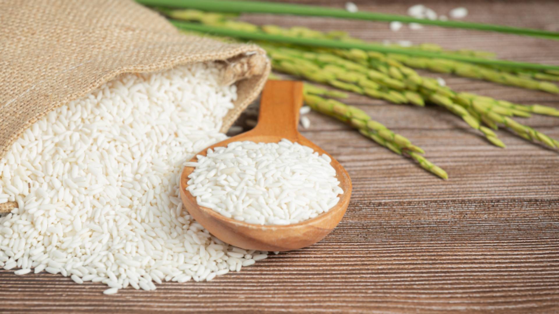 أرز - تعبيرية