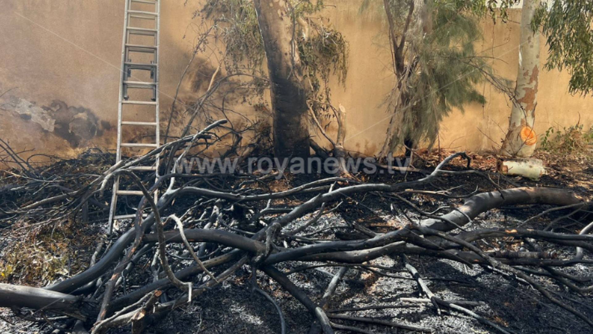 صورة من الحريق في مبنى دائرة الأراضي والمساحة في المفرق