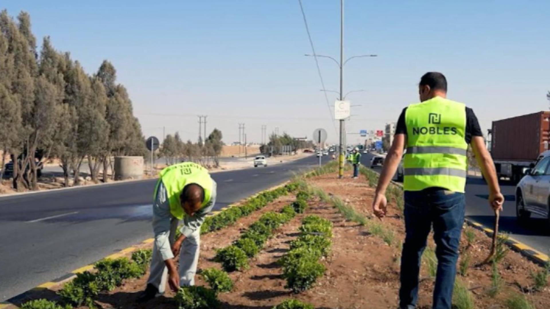 عمال يعملون في إحدى الجزر الوسطية في الجيزة