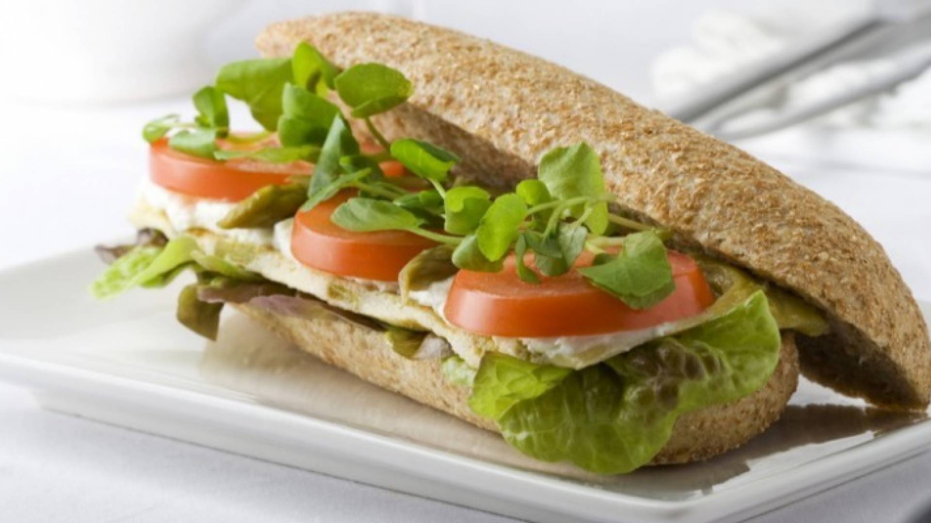 "سندويش" جبنة