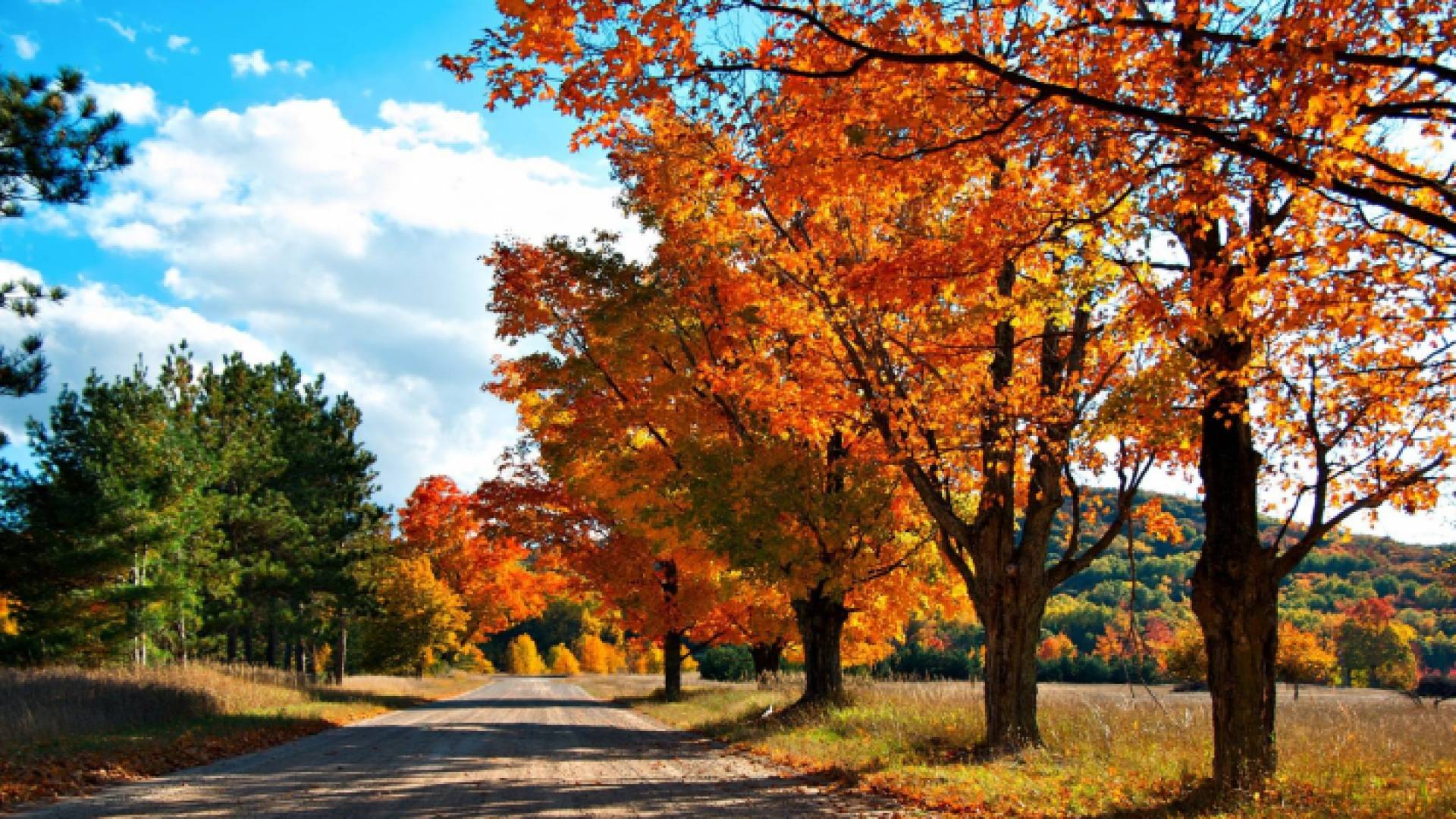 الخريف - ارشيفية