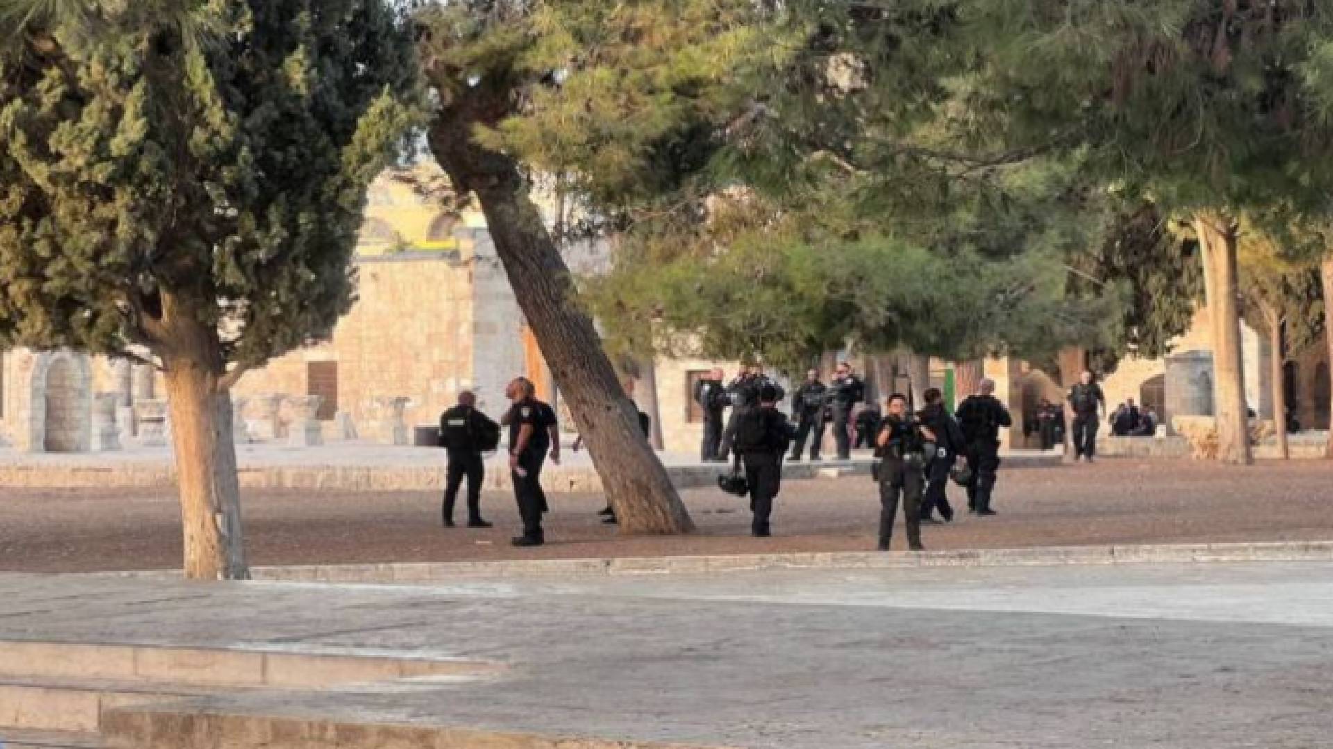 قوات الاحتلال داخل باحات الأقصى