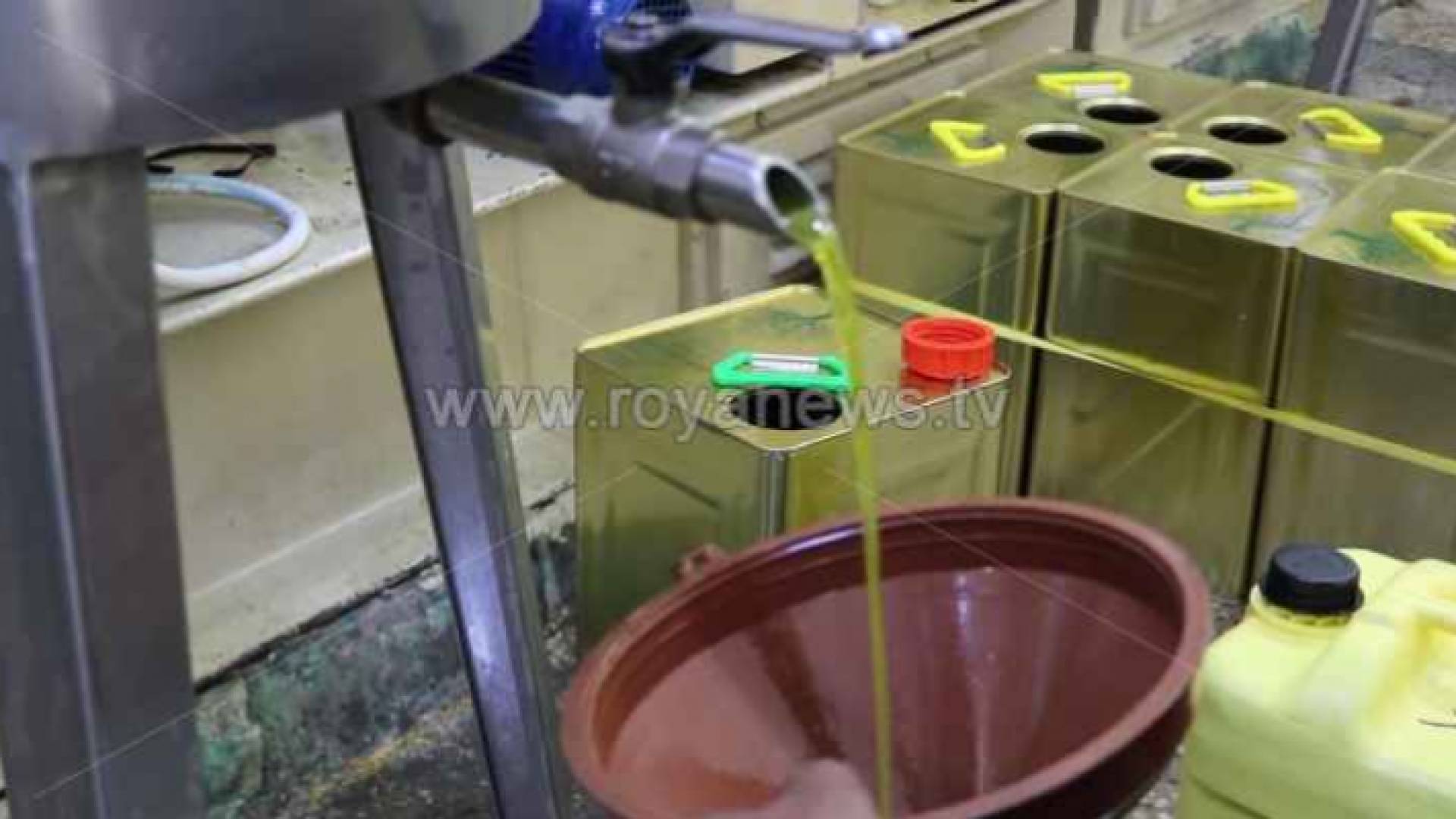 معصرة زيت زيتون - ارشيفية