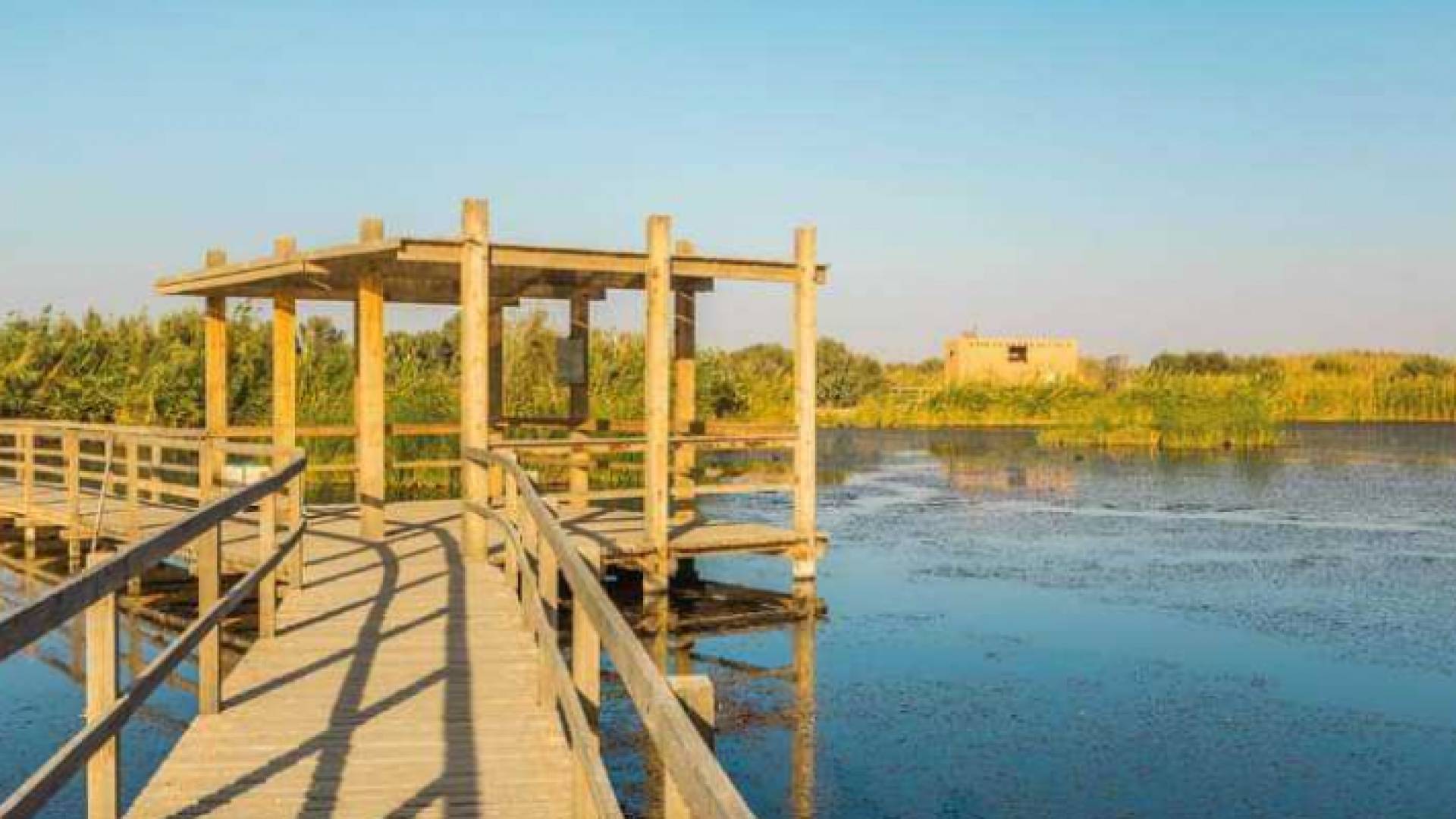 محمية الأزرق