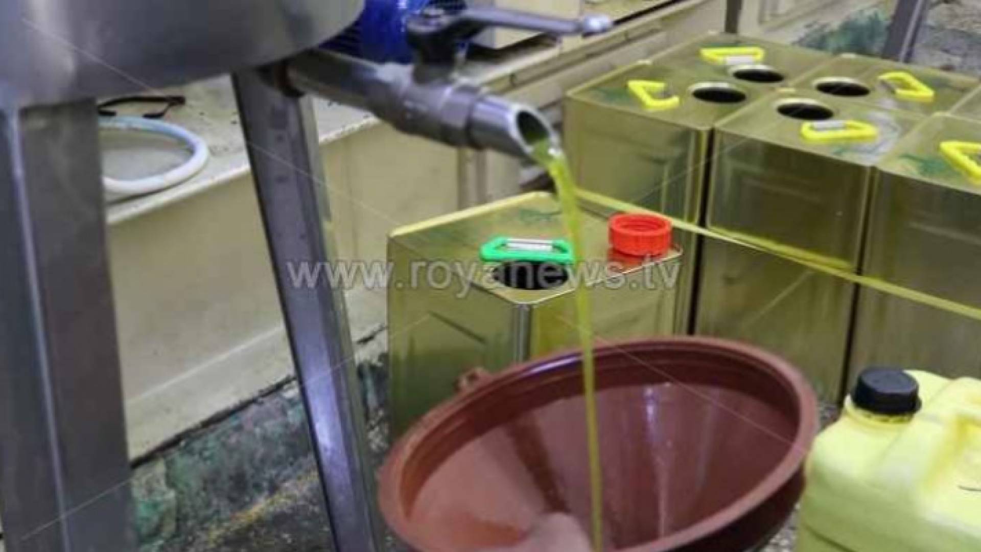 معصرة زيت زيتون - ارشيفية