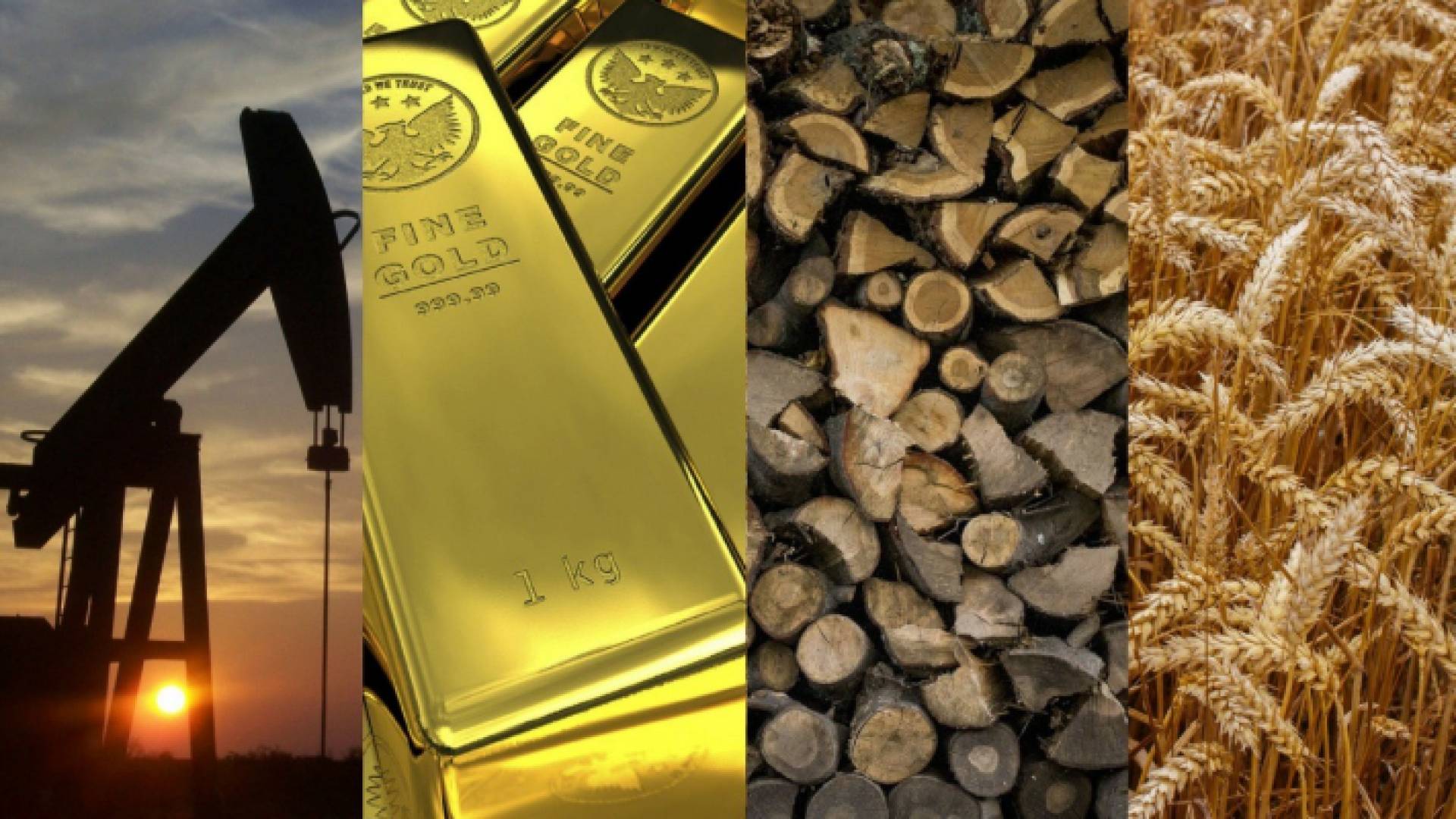 صزرة توضيحية للسلع المعمرة