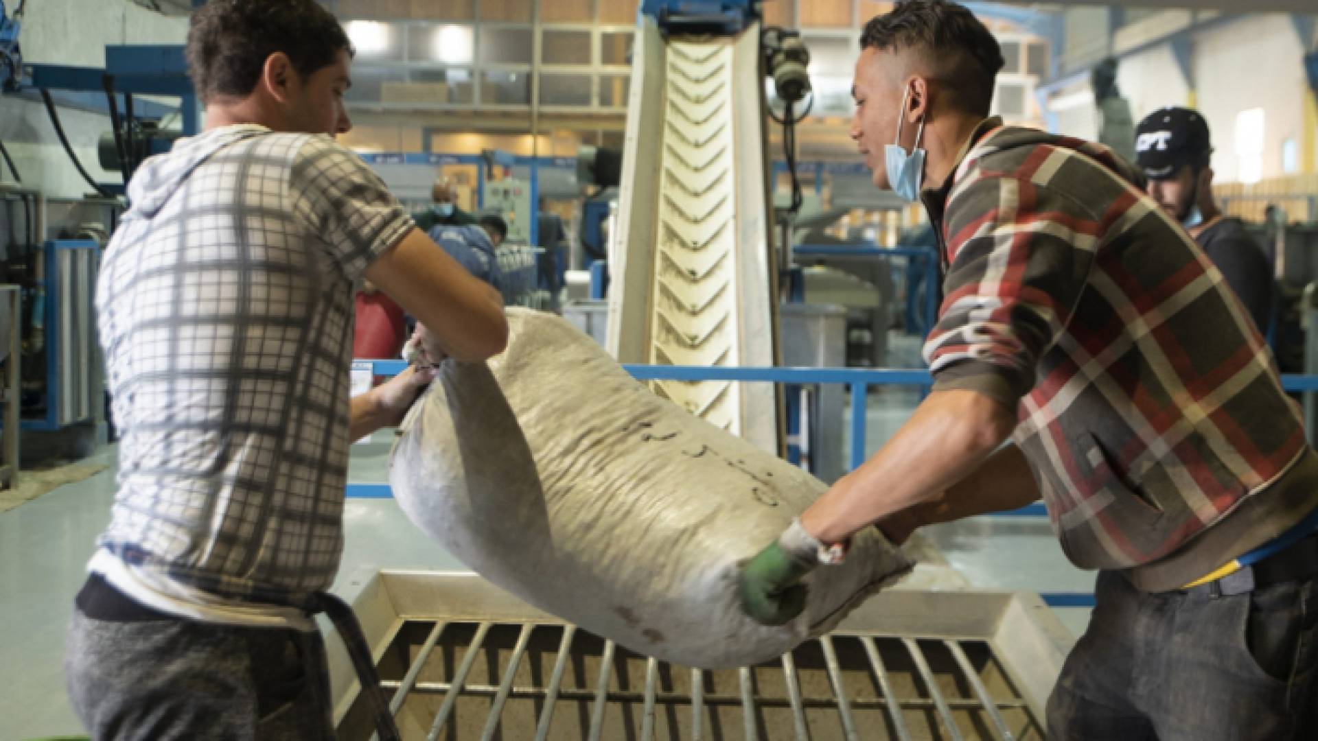 معاصر زيتون