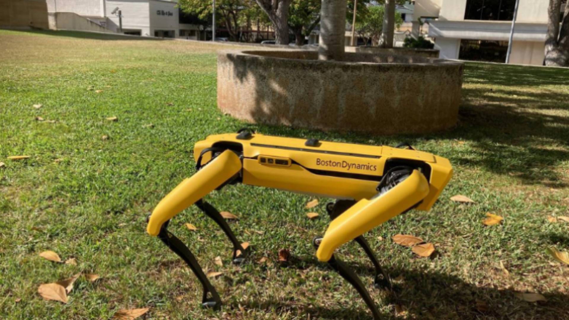 روبوت على شكل كلب