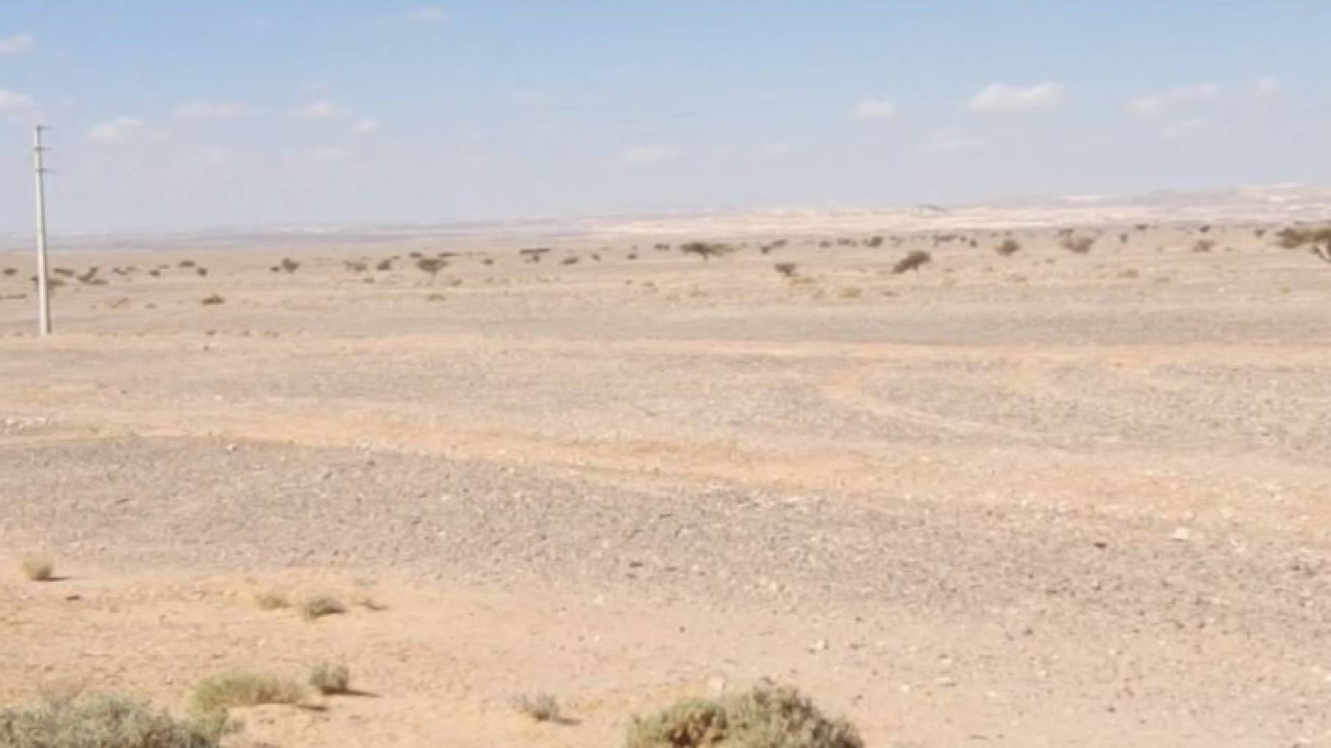 الصورة من منطقة وادي عربة