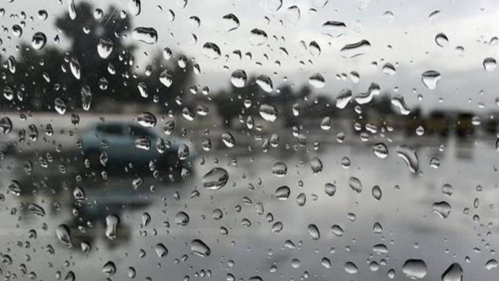 أمطار محلية