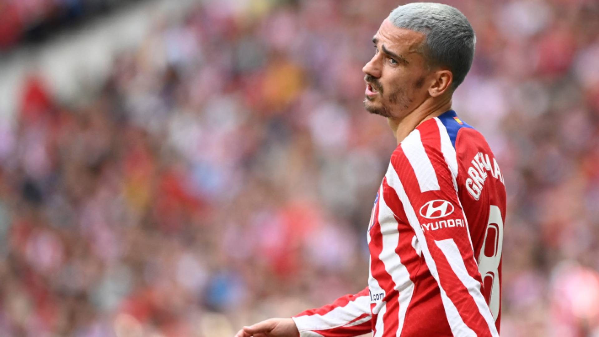 أنطوان جريزمان