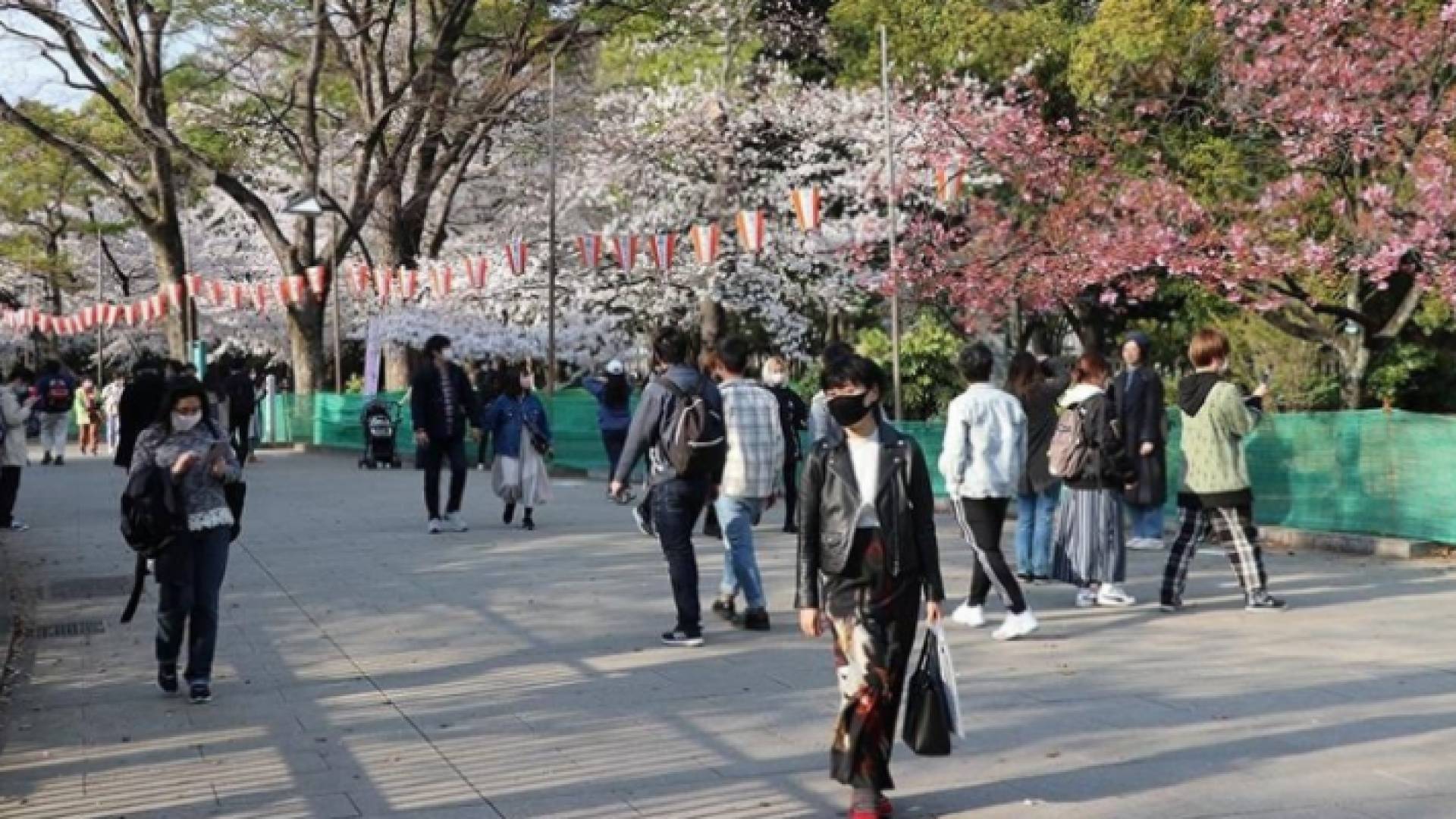 العاصمة اليابانية طوكيو