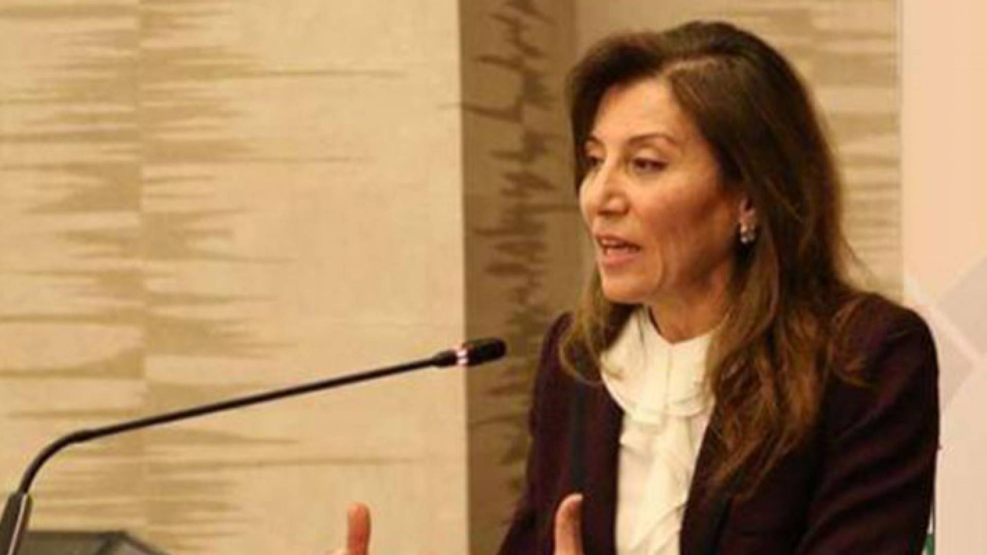 سمر الحاج حسن