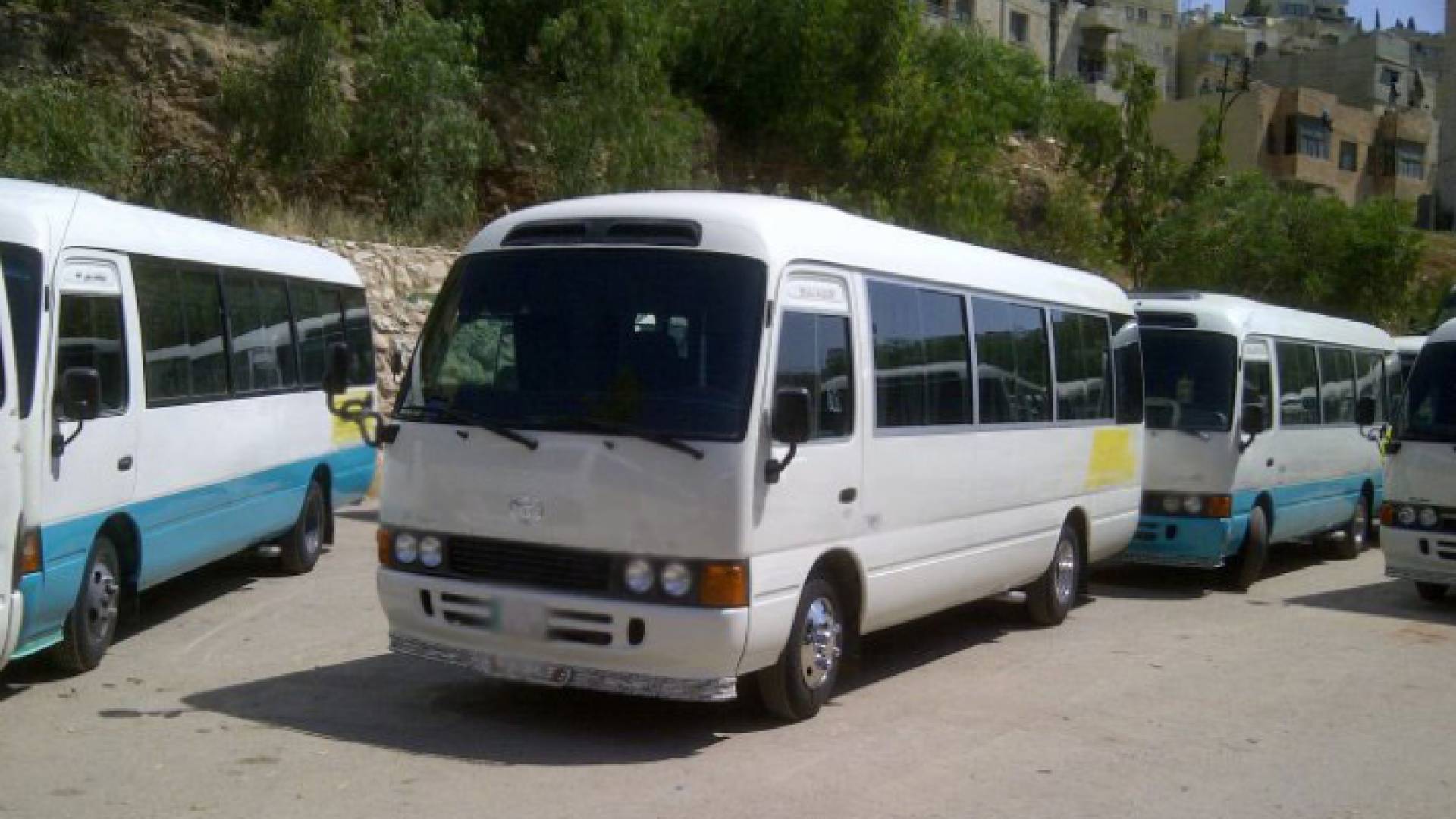 حافلات نقل عام - أرشيفية