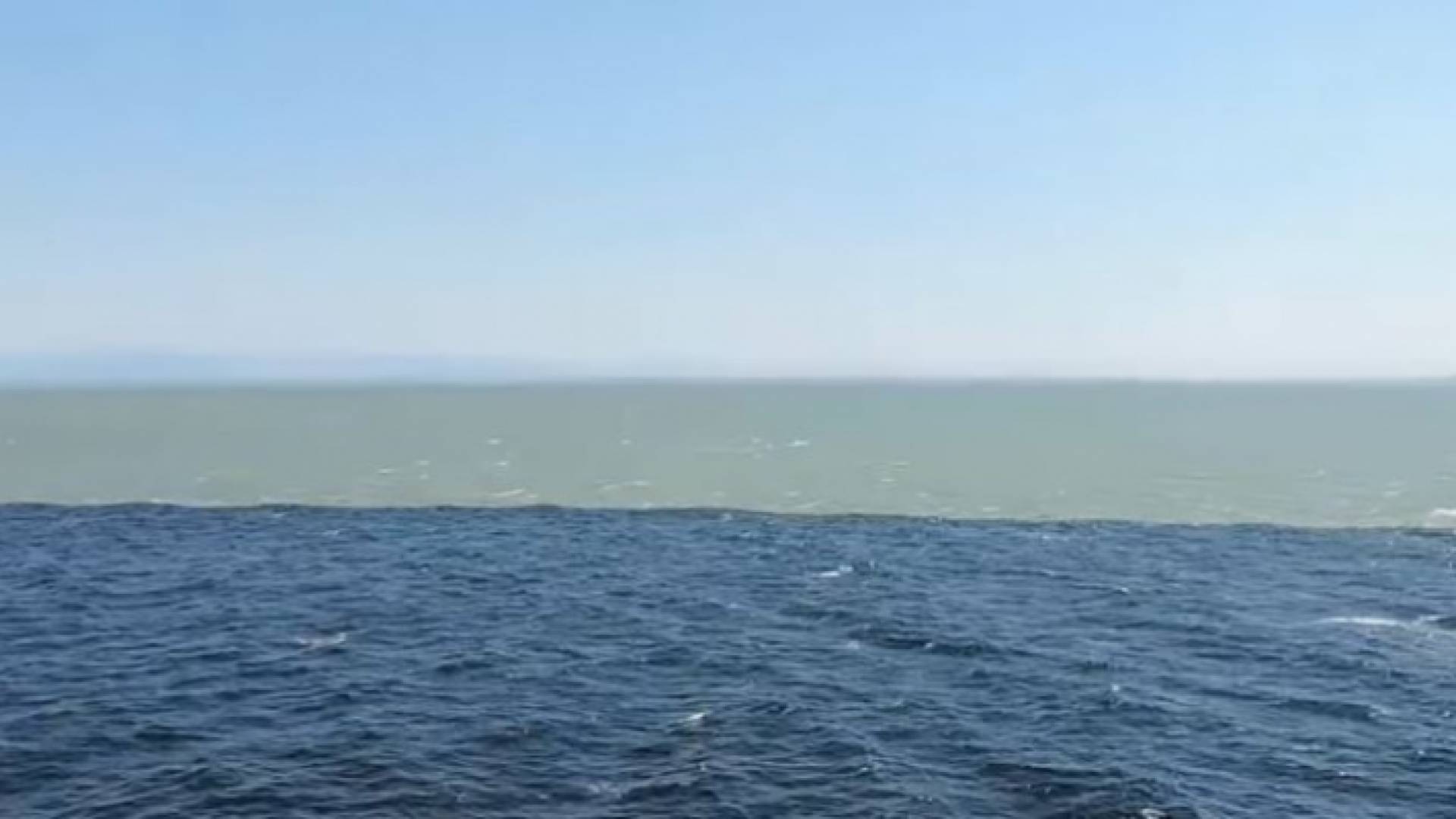 صورة من الفيديو