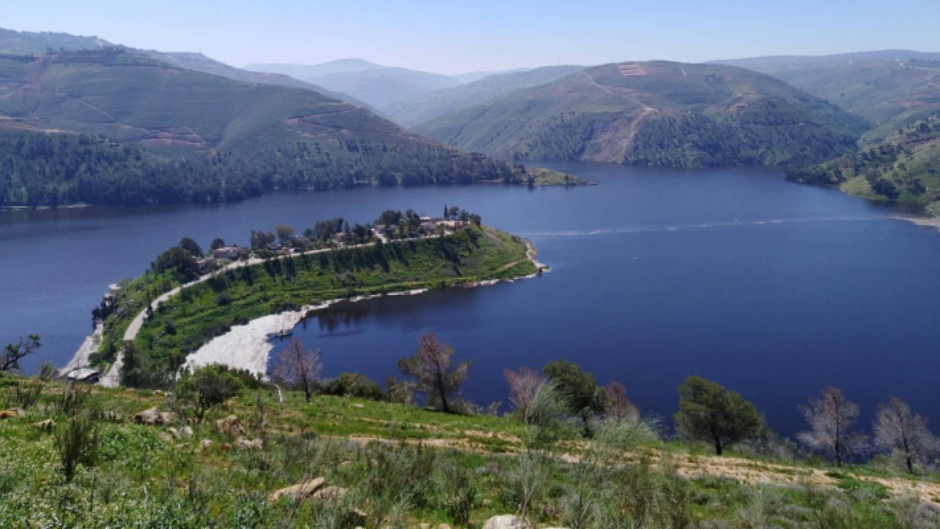 سد الملك طلال