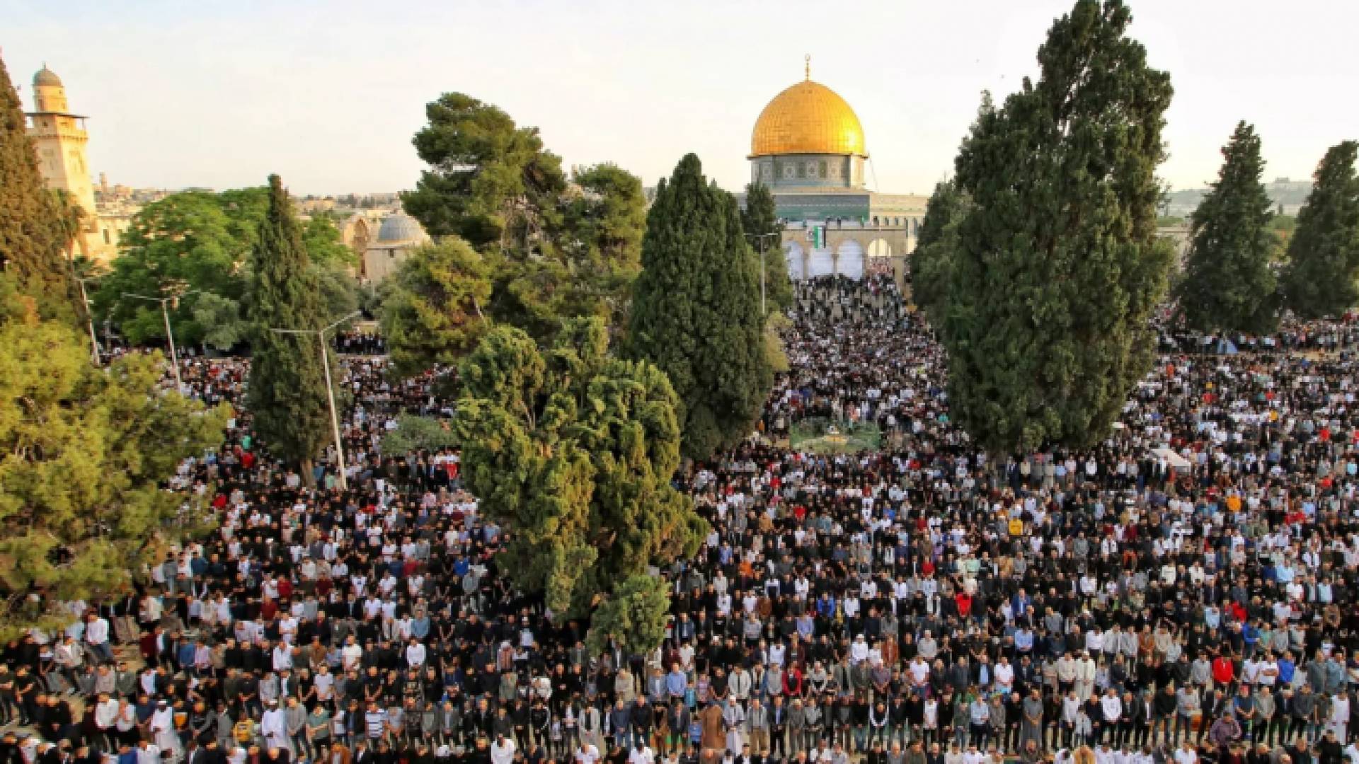 لقطة أرشيفية من ساحات المسجد الأقصى المبارك