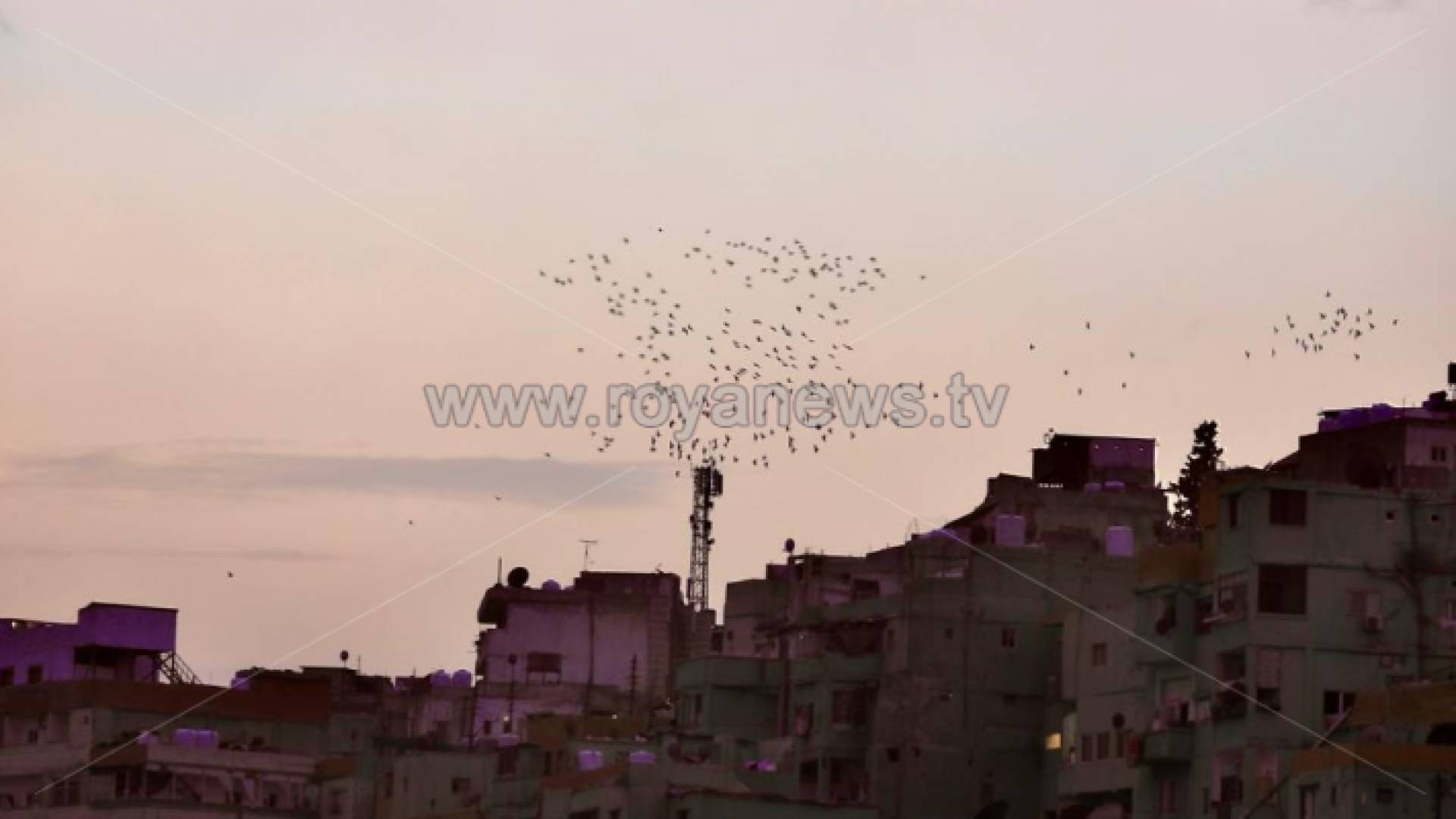 جانب من العاصمة عمان - ارشيفية