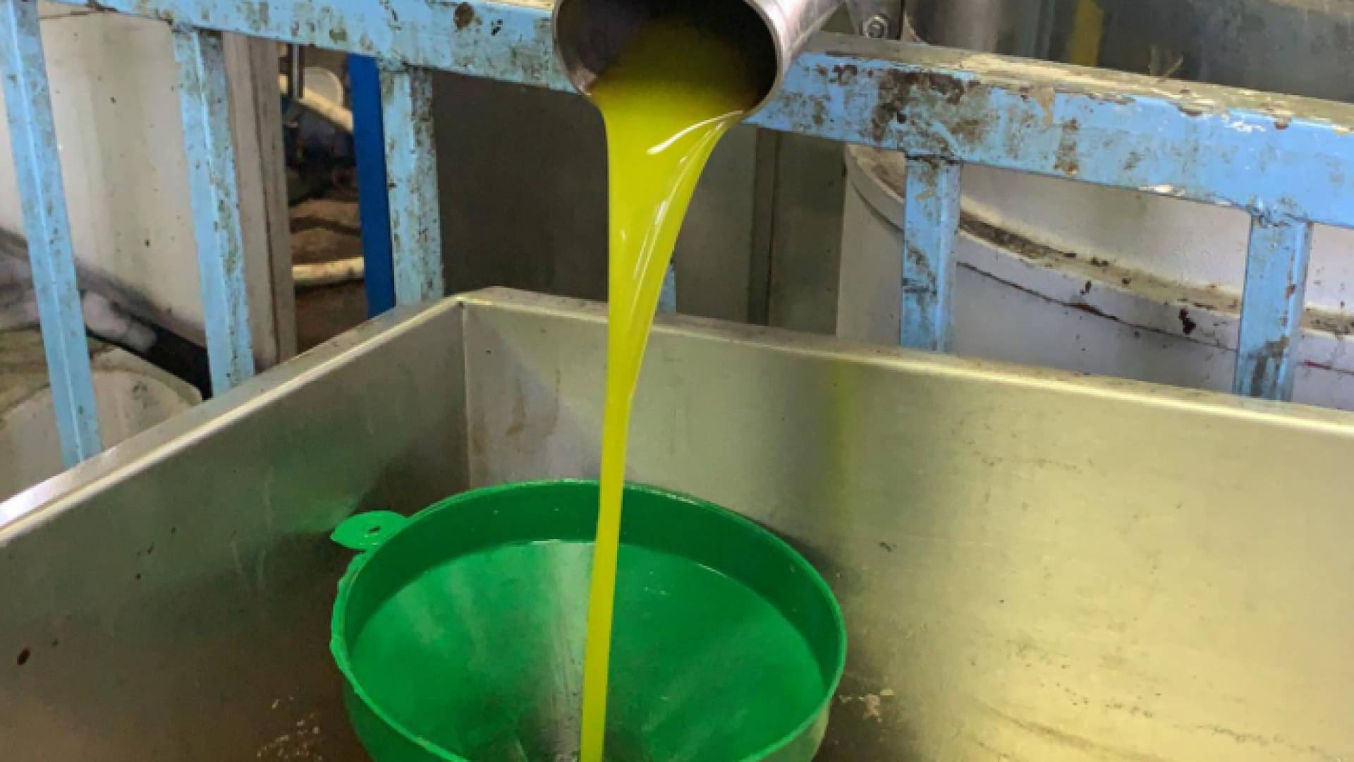 معصرة زيت زيتون - أرشيفية