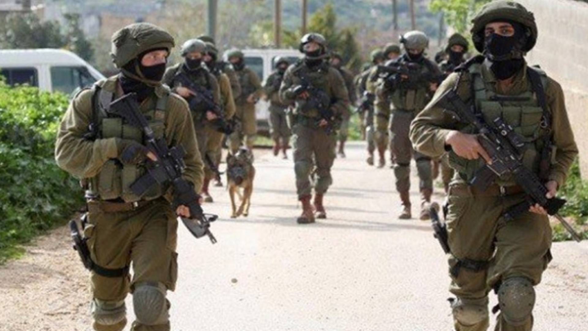 قوات الاحتلال