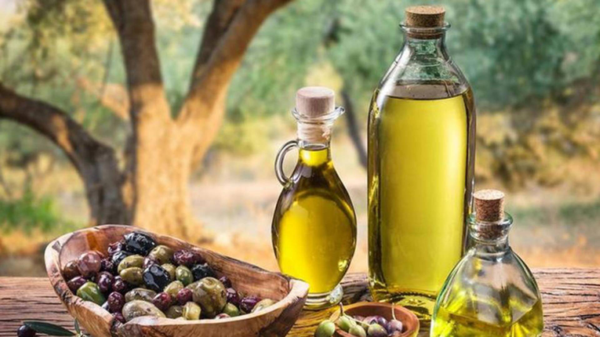 زيت الزيتون