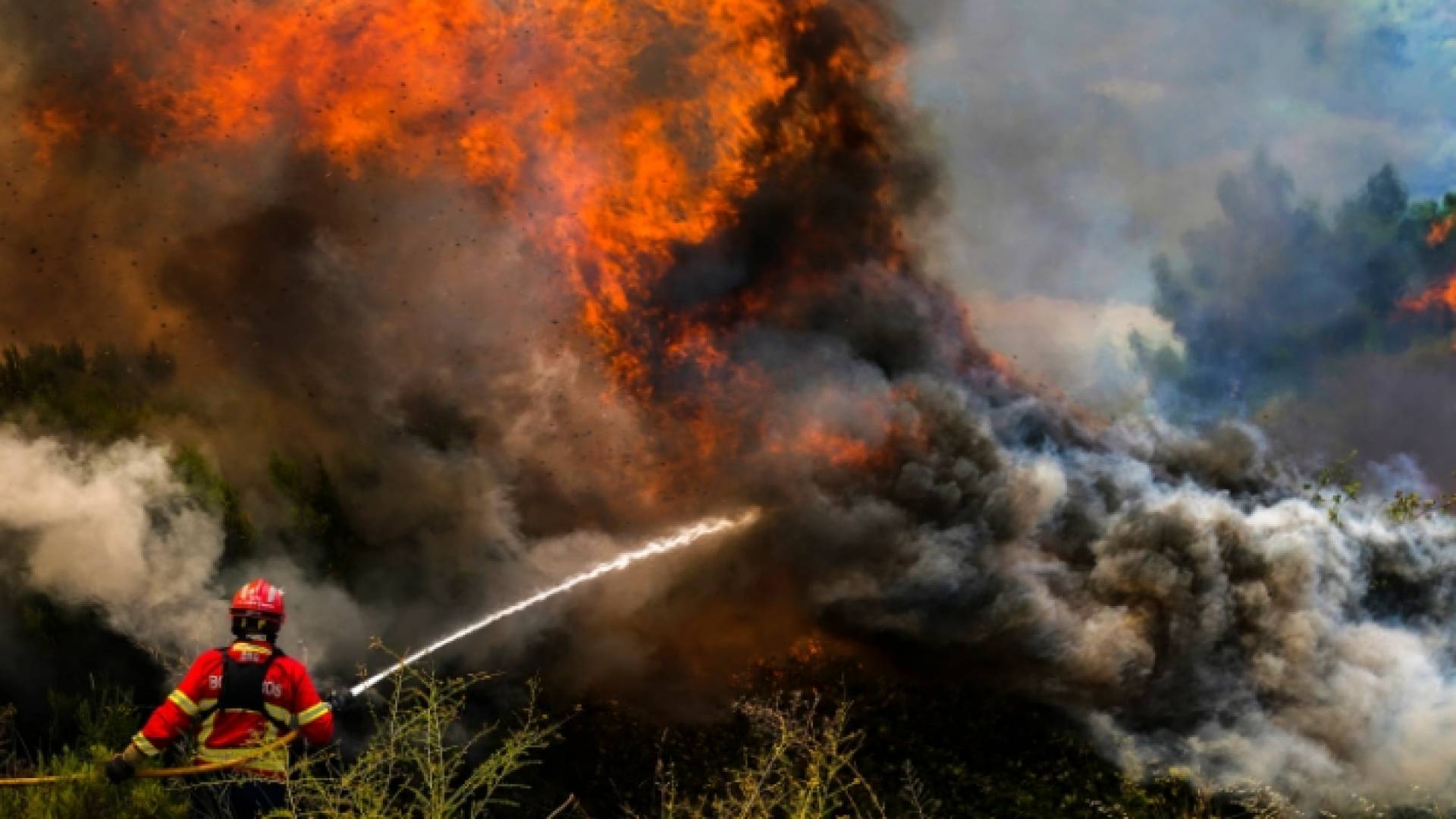 جانب من عمليات إخماد الحرائق في غابات أوروبا جراء موجات الحر