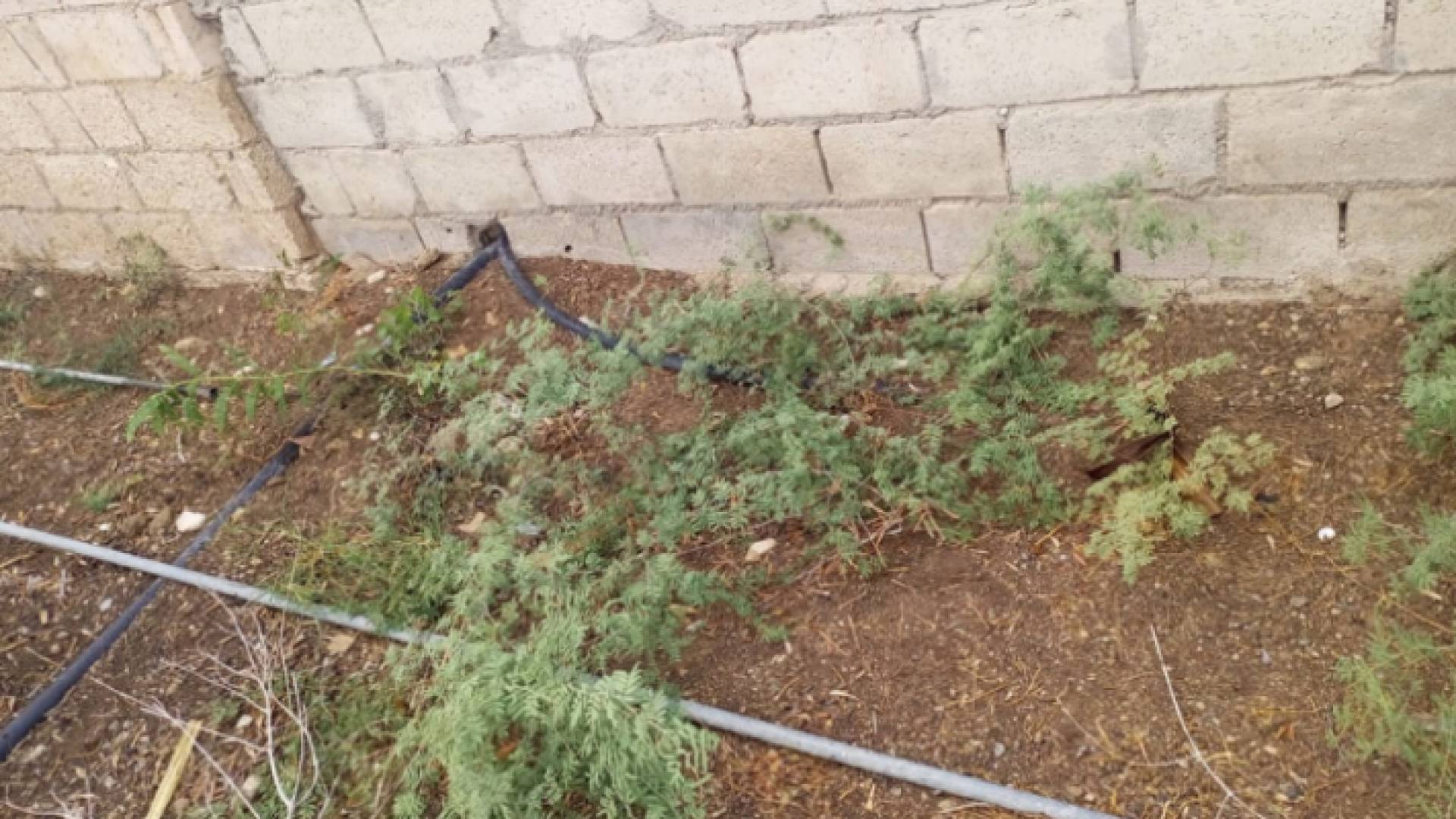 جانب من الاعتداءات