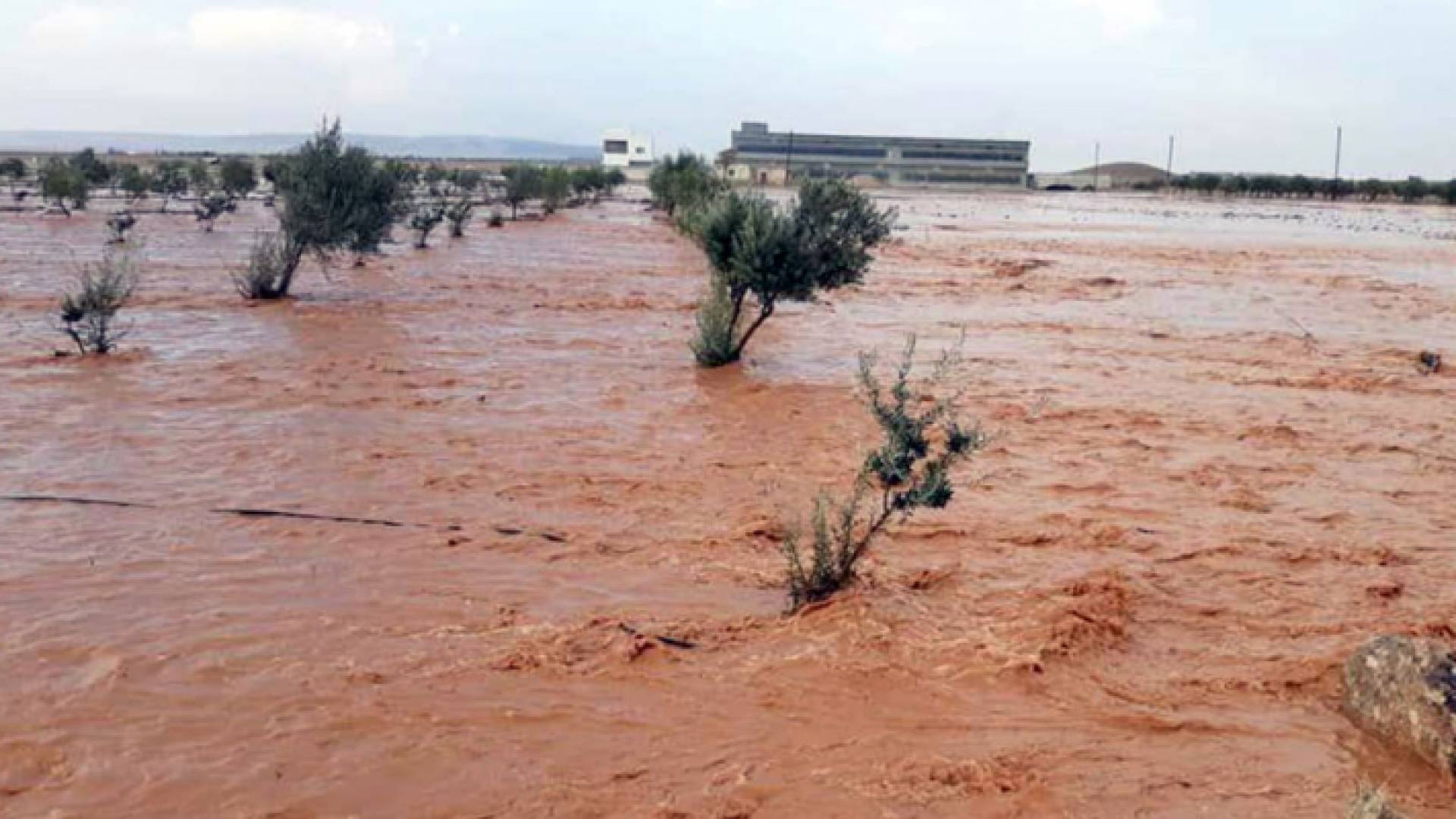 سيول في ريف حماه