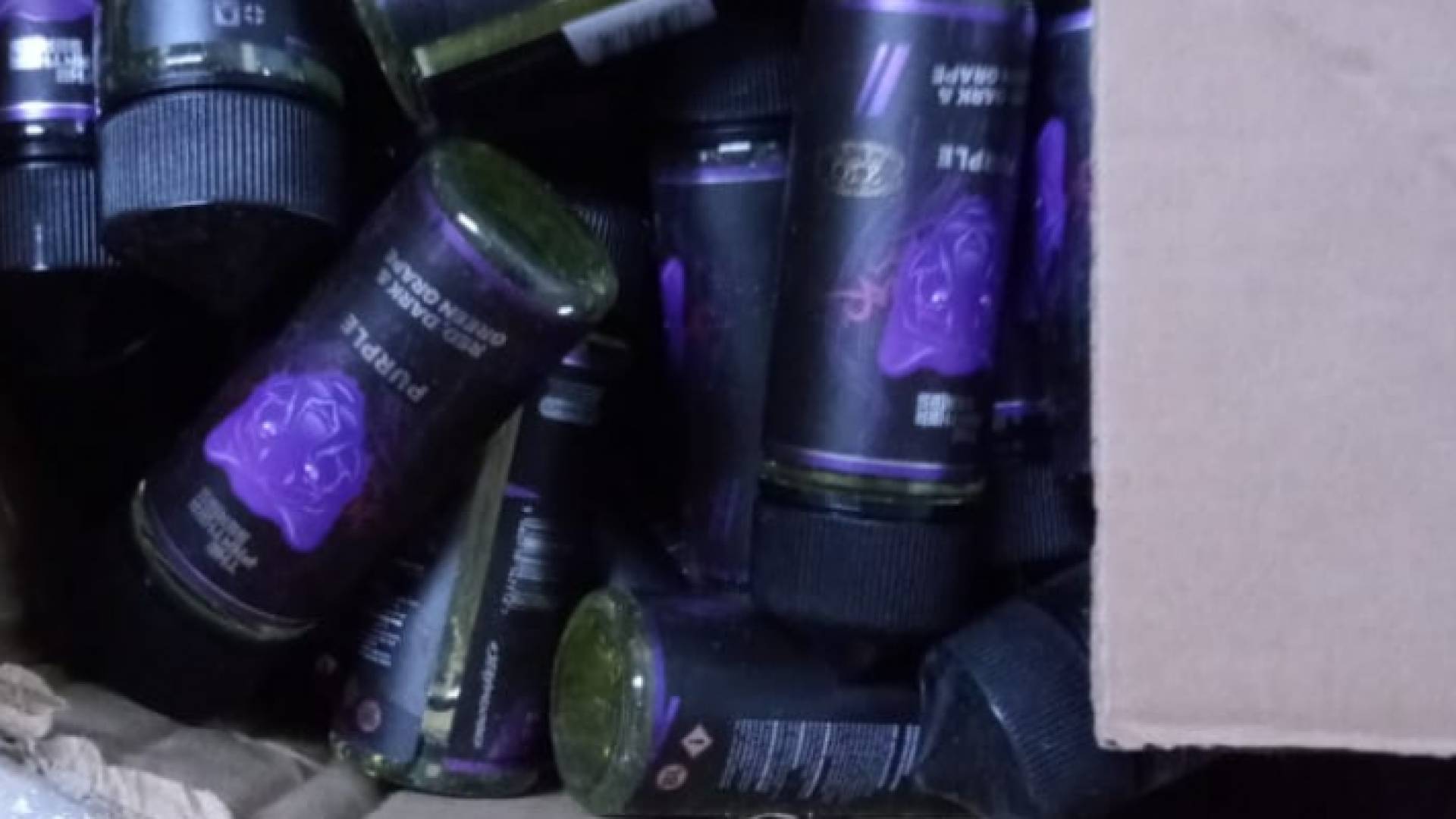 جانب من المضبوطات