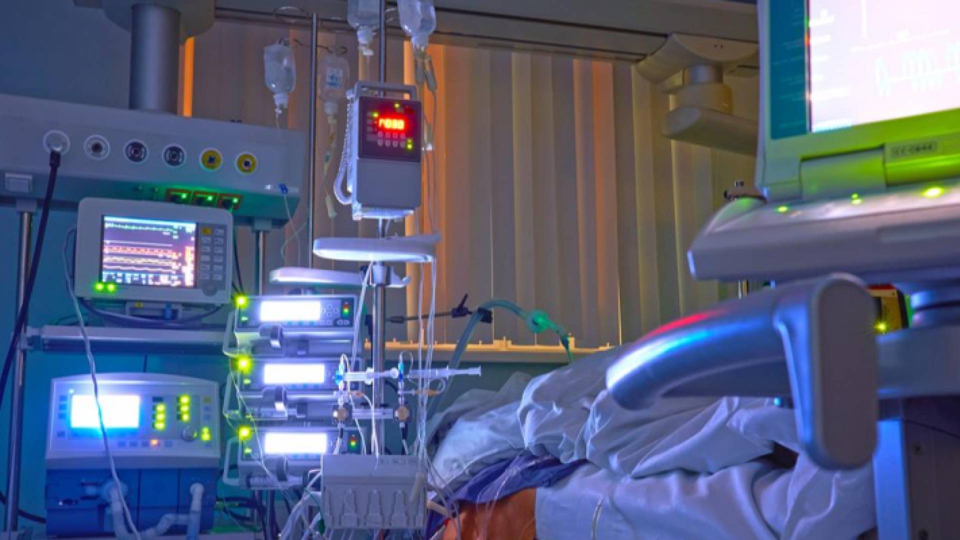 العناية الحثيثة