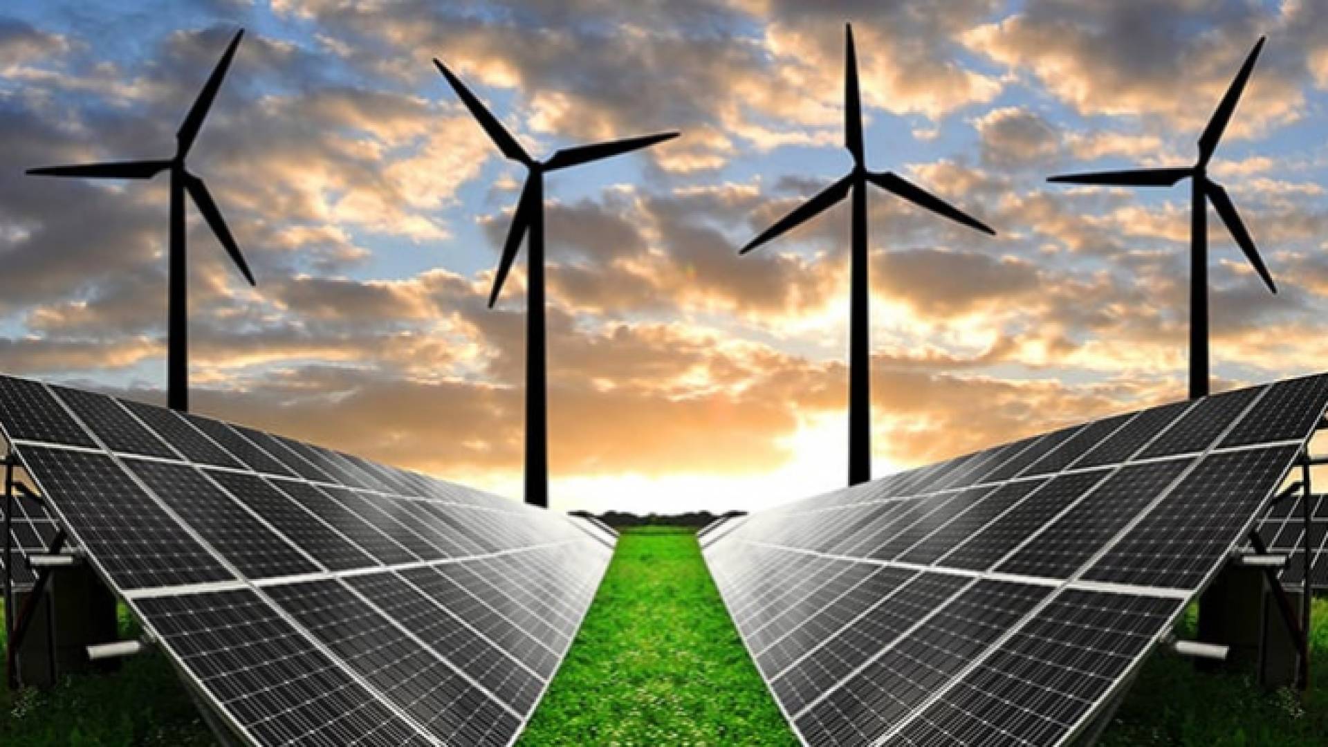 حقل لتوليد الطاقة المتجددة