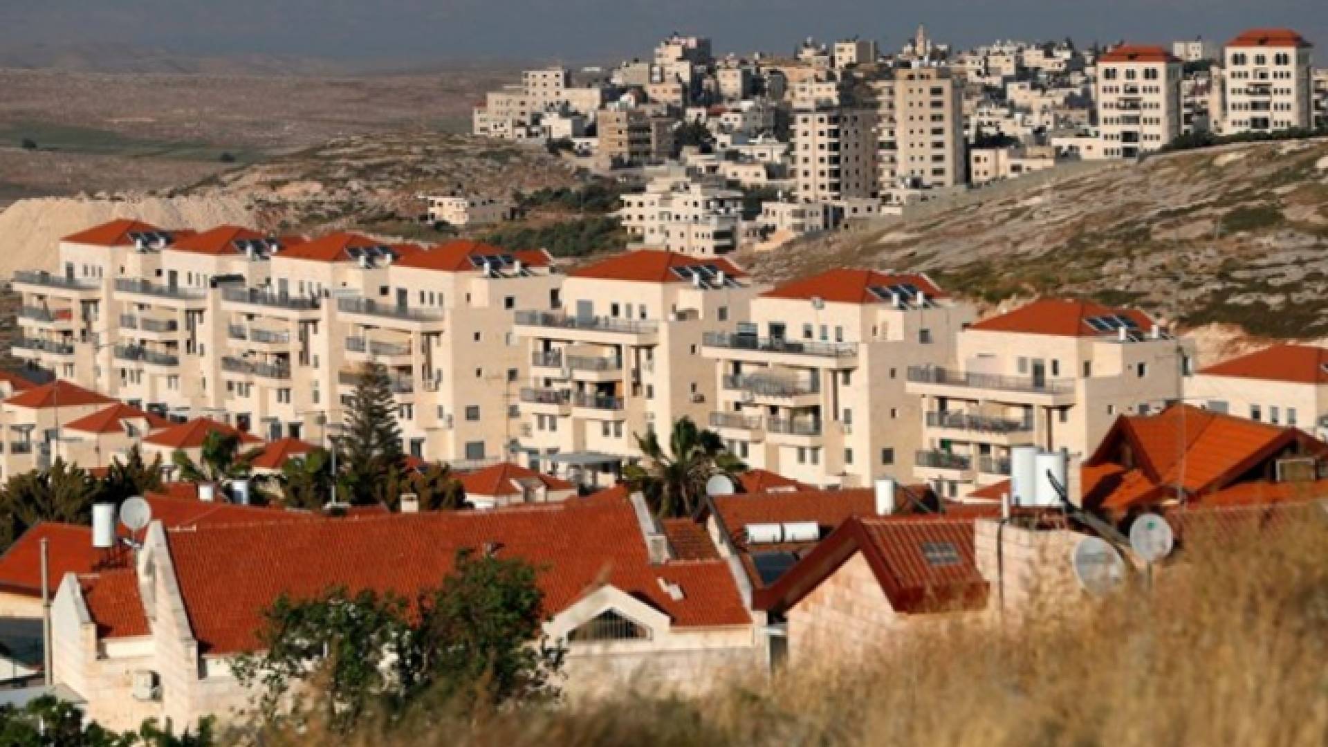 مستوطنات تابعة للاحتلال