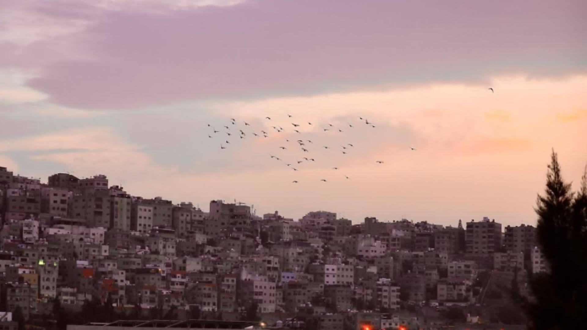 صورة عامة للعاصمة عمان