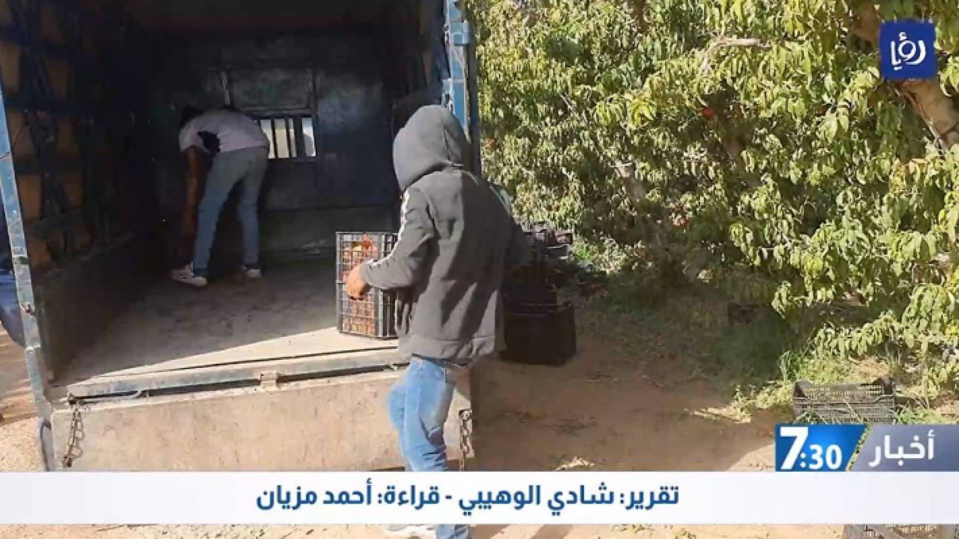 مشهد من التقرير