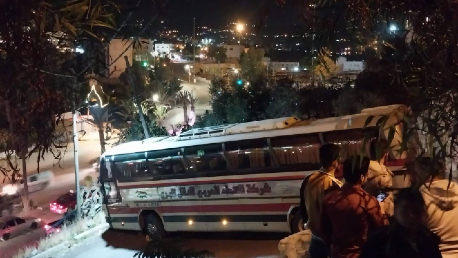 صورة للحافلة السياحية