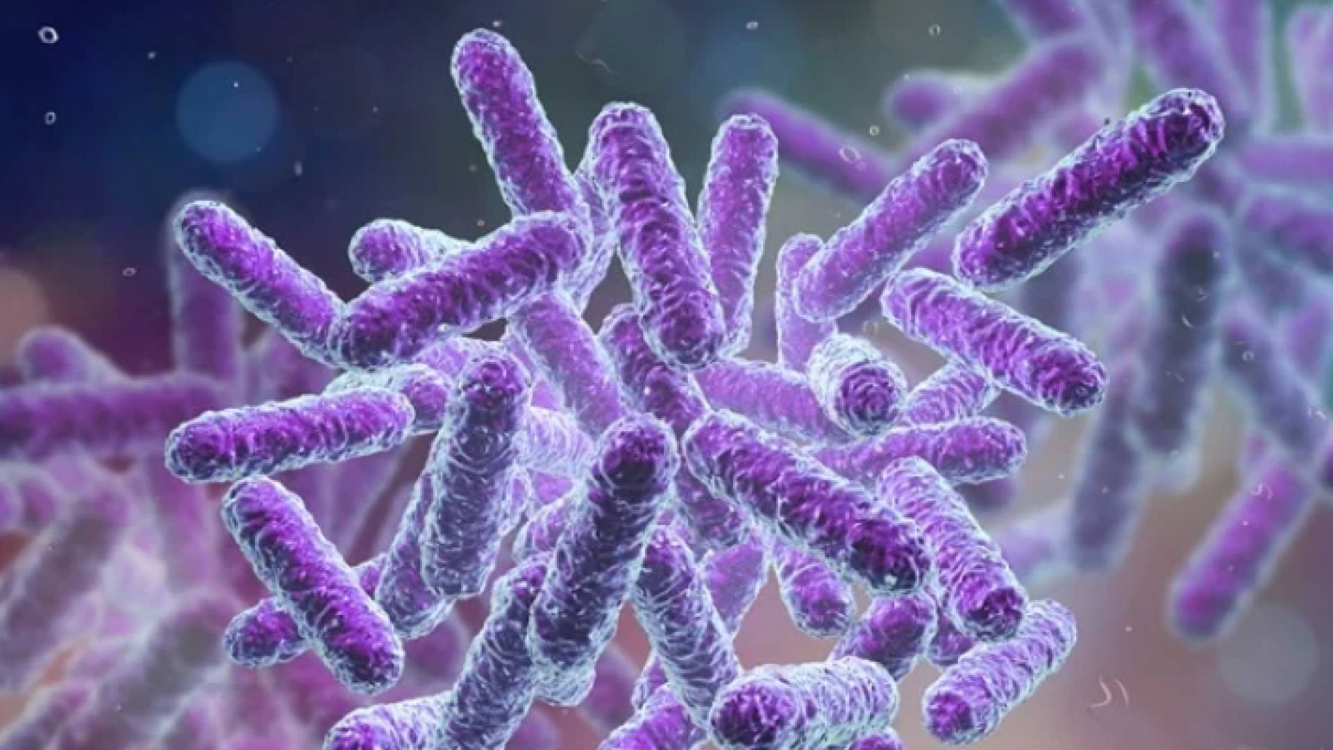 بكتيريا - تعبيرية