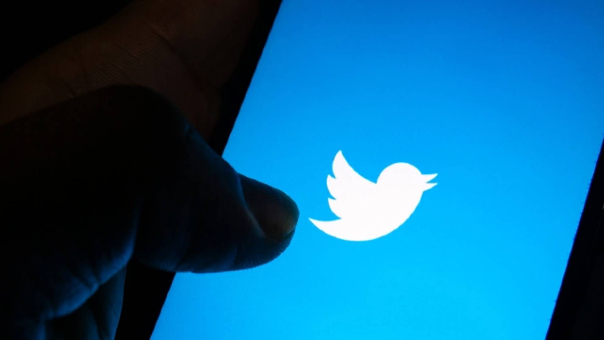 شعار شركة تويتر