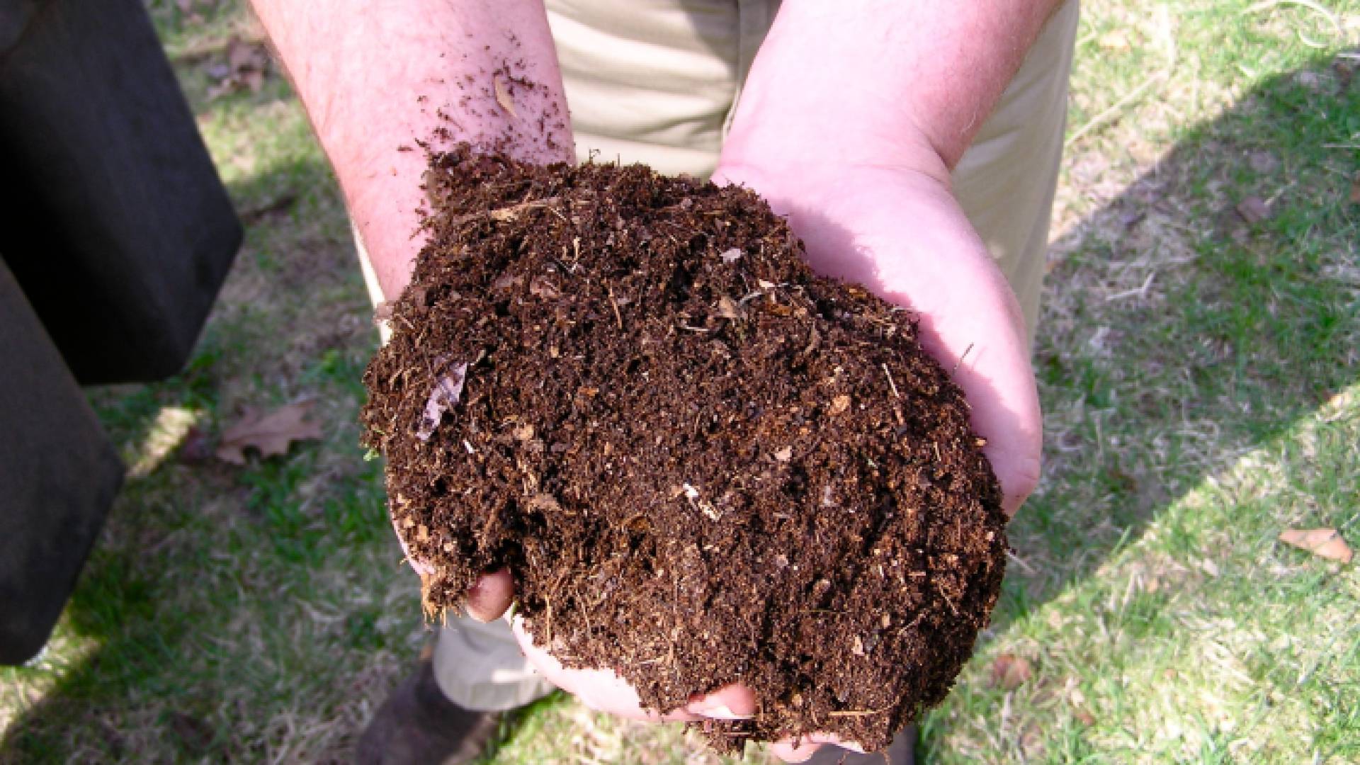 صورة أرشيفية لسماد عضوي