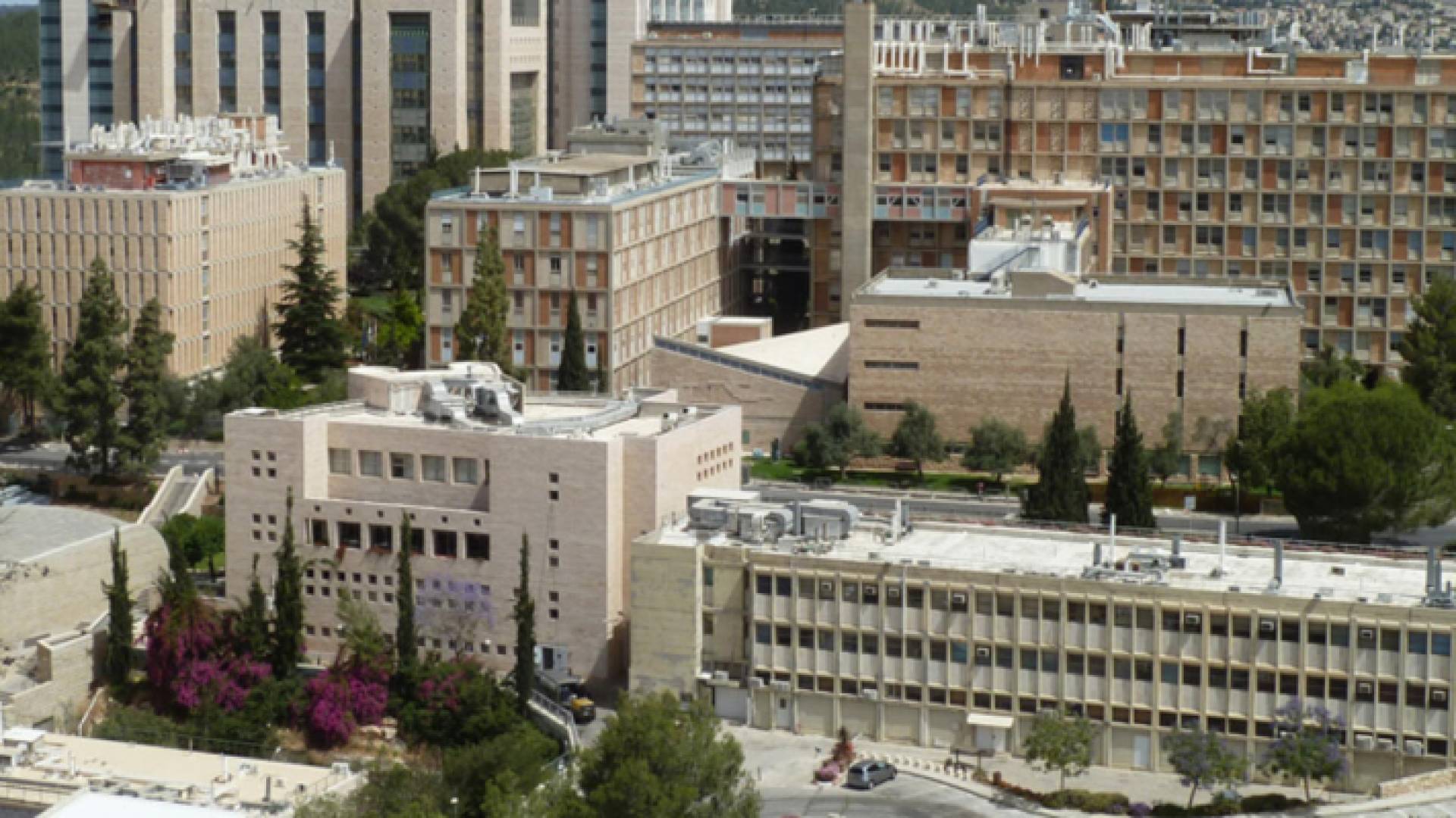 مستشفى هداسا