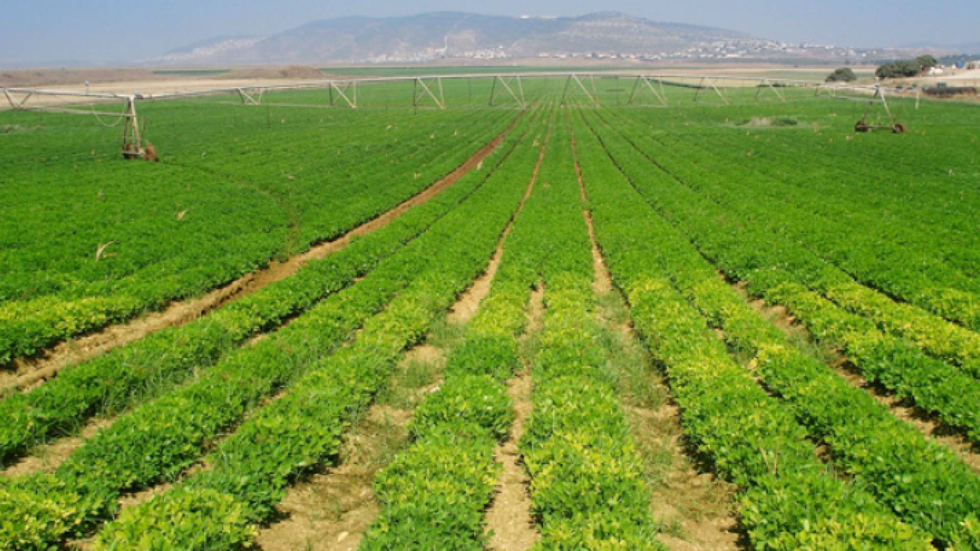 أرض زراعية