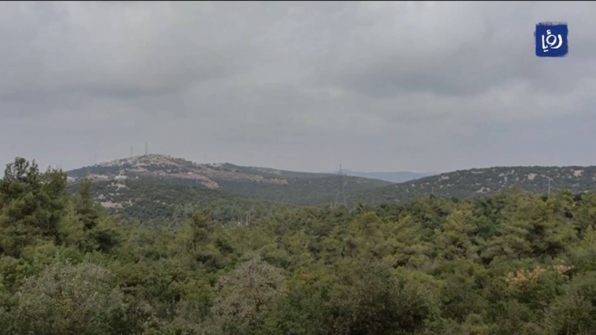 غابات عجلون