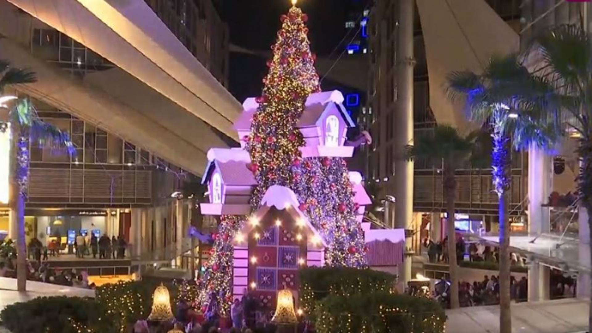 شجرة الميلاد