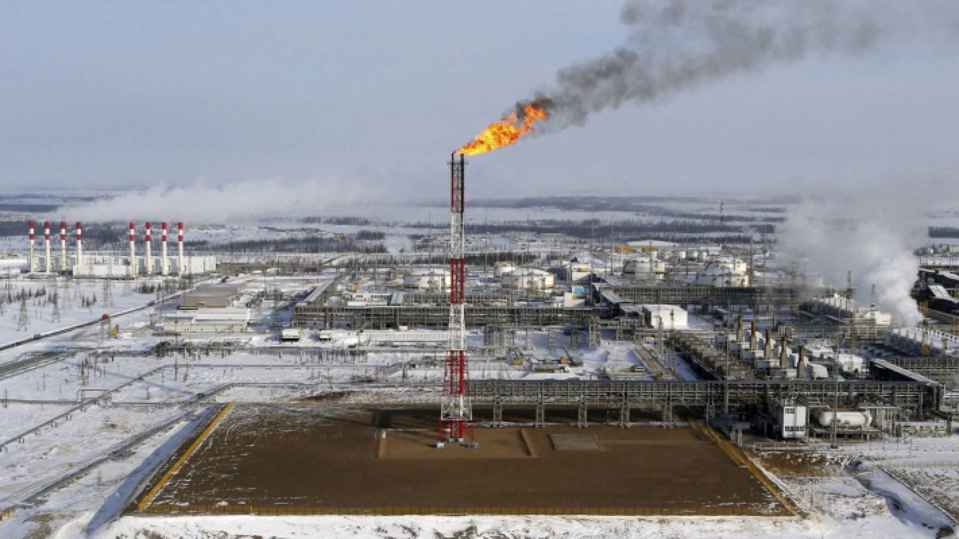 منشأة نفطية