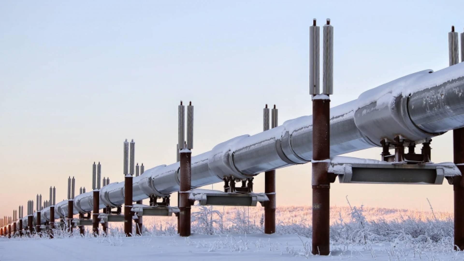 خط أنابيب الغاز "يامال-أوروبا" الروسي