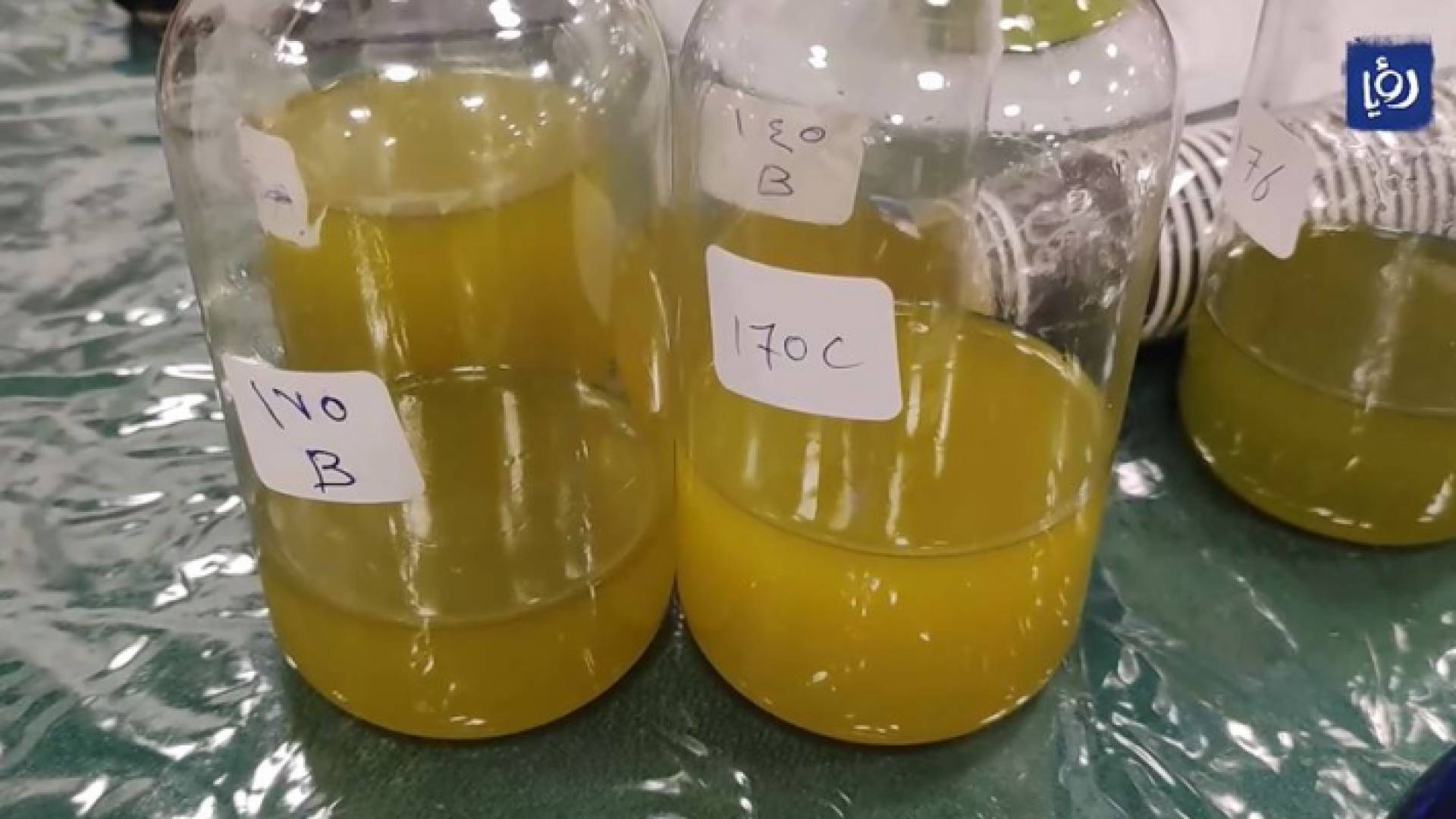 عبوات زيت الزيتون