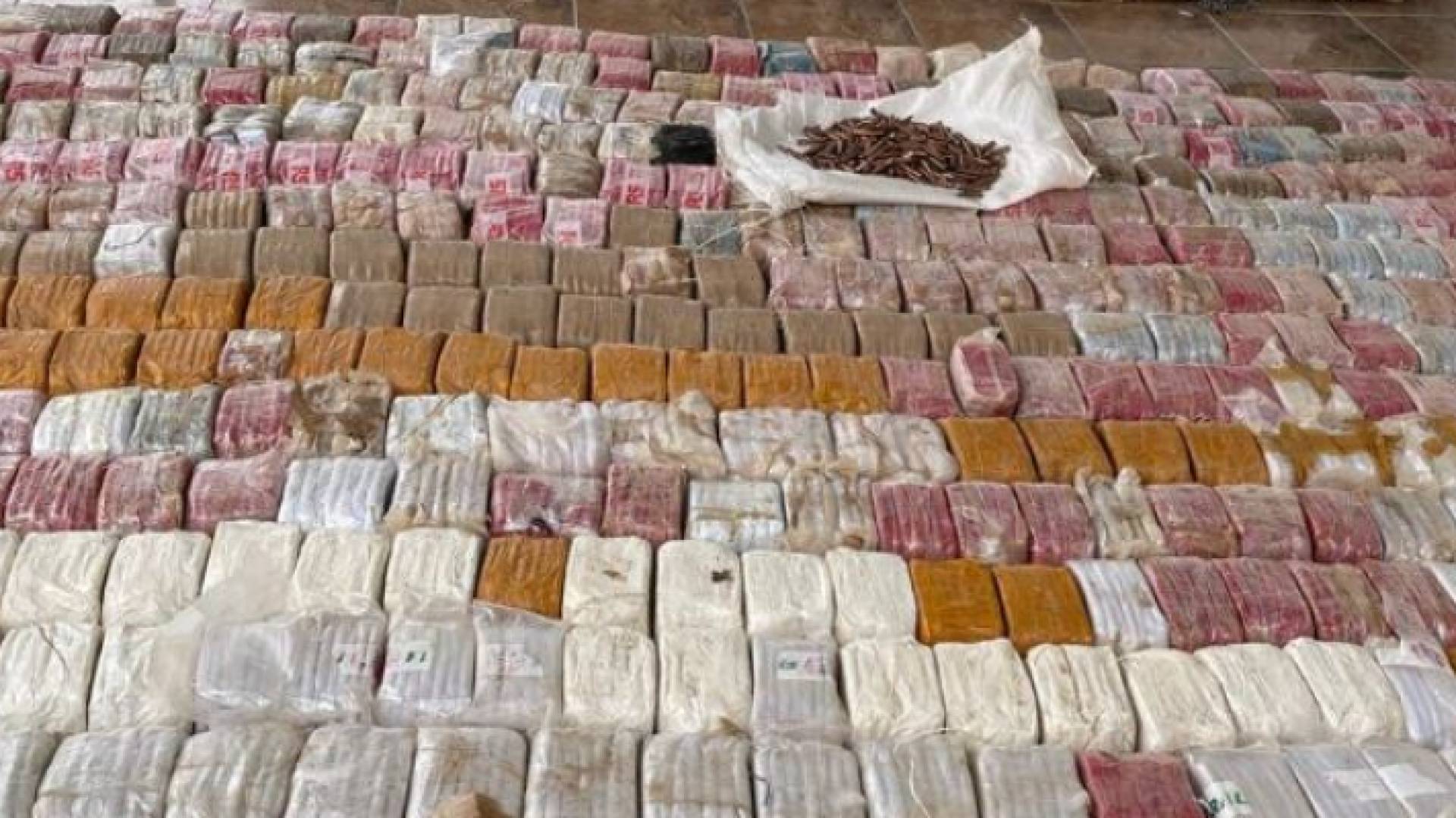 جانب من المضبوطات