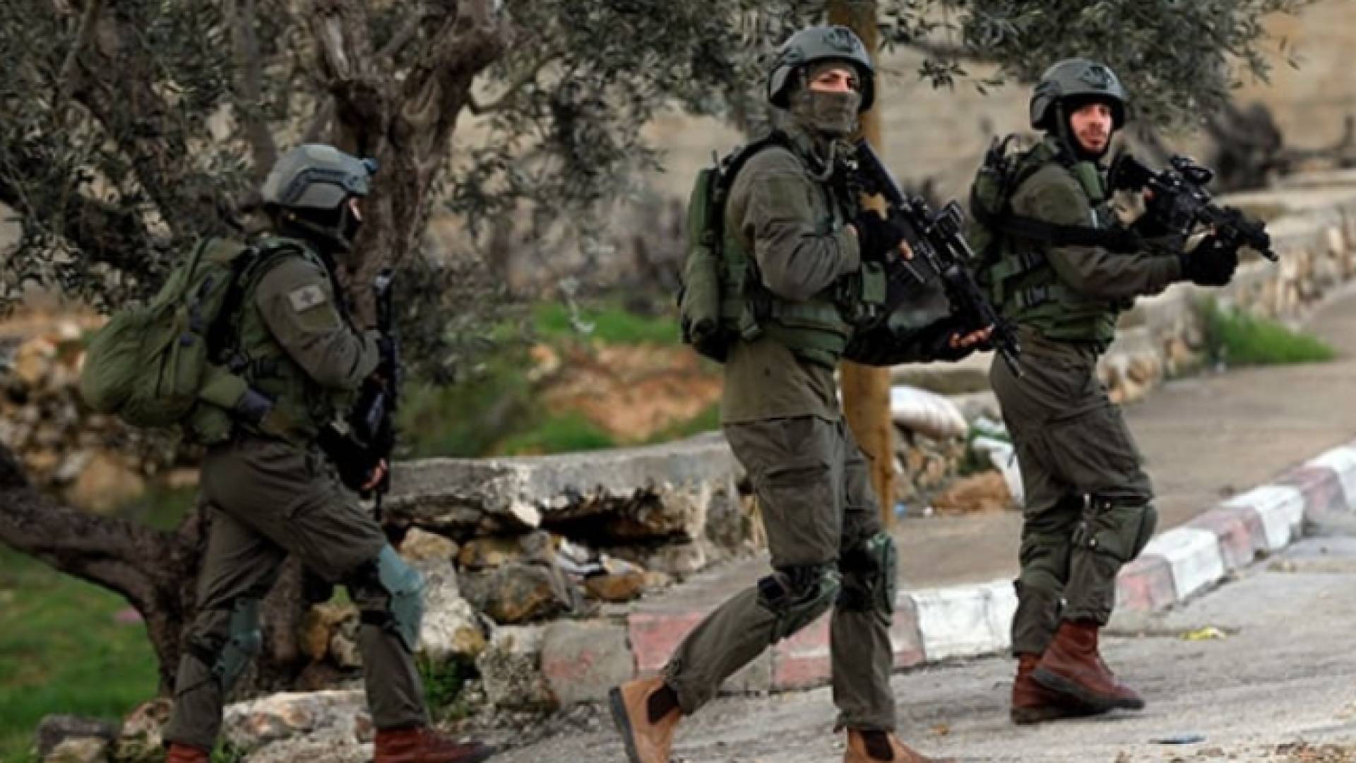 عناصر من قوات الاحتلال - أرشيفية