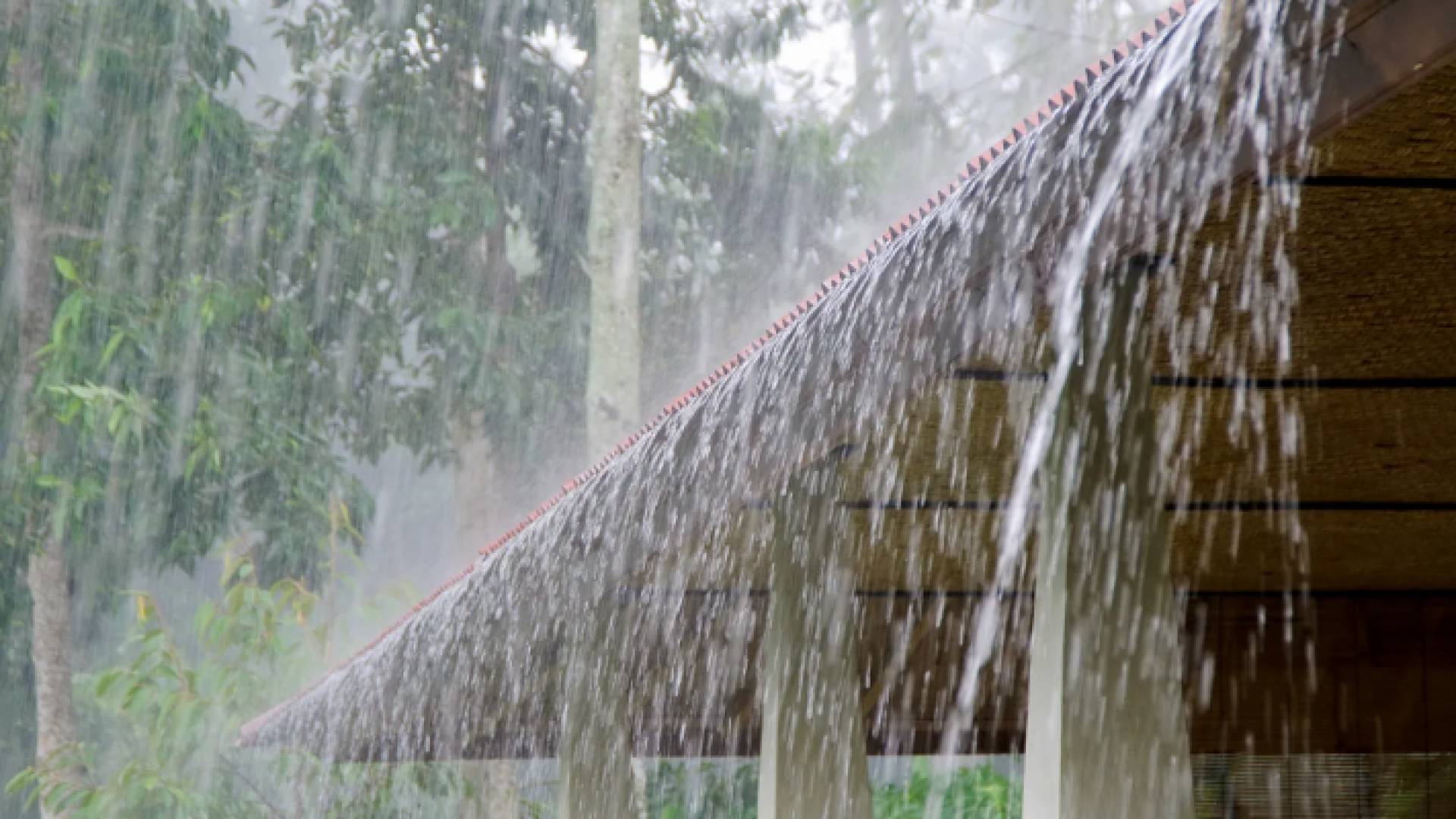 زخات من الأمطار